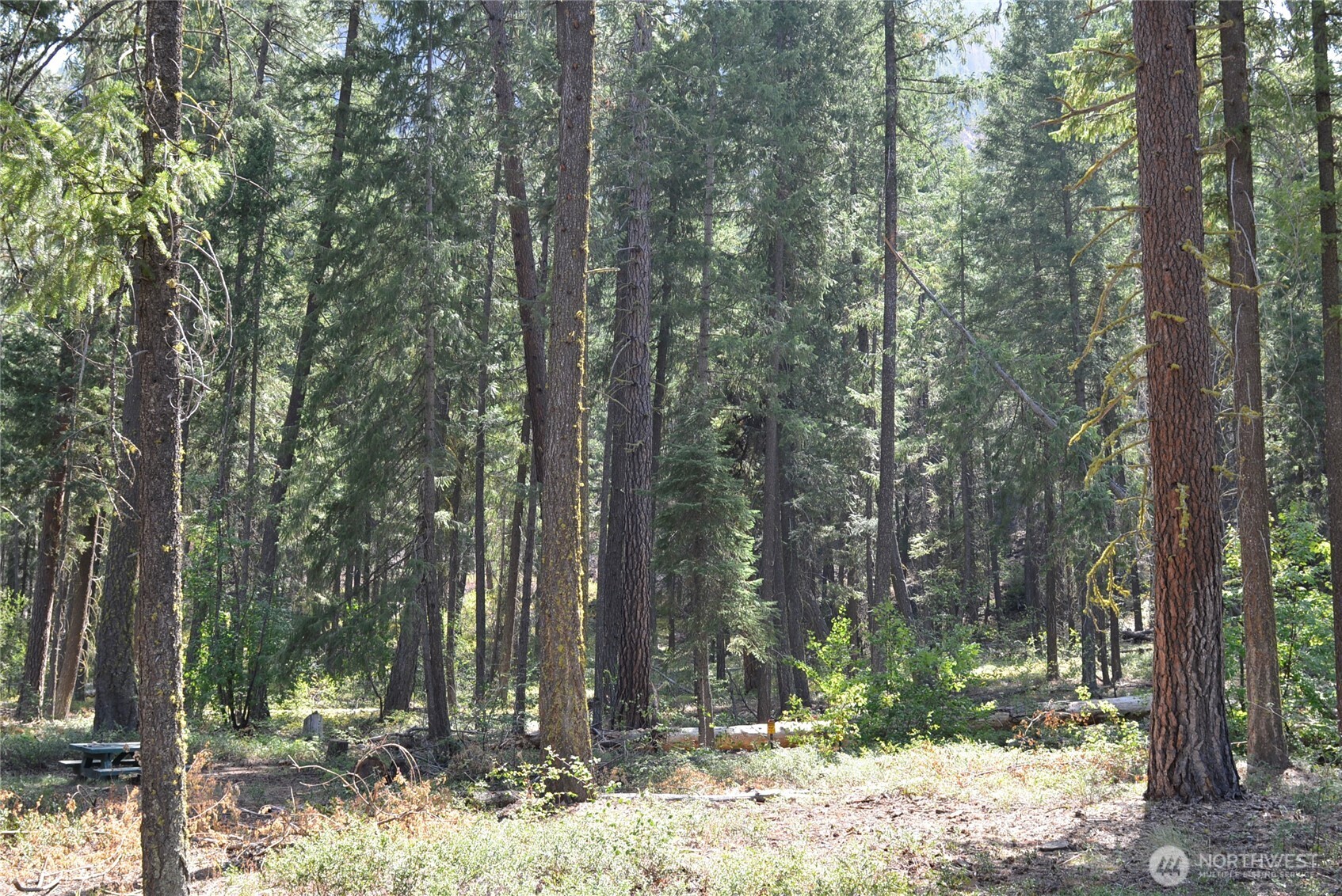 17798 A Hwy 20 C-6 Property Photo 17