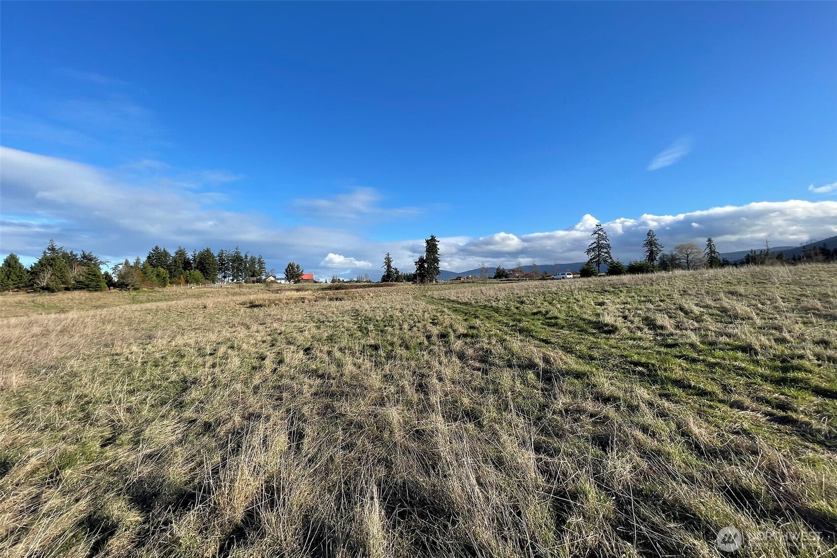 336 Bell Bottom Road Property Photo 4
