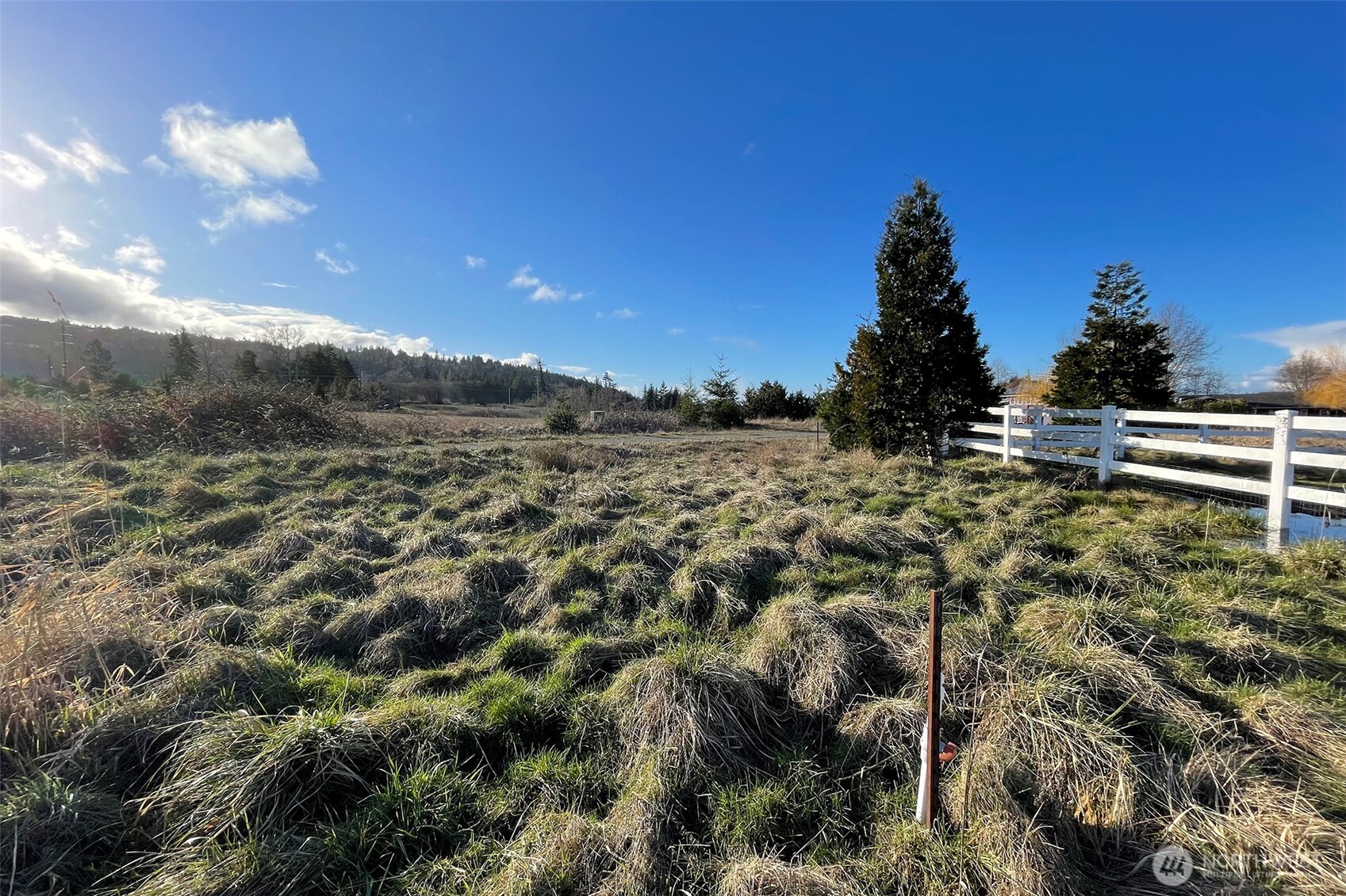 336 Bell Bottom Road Property Photo 10