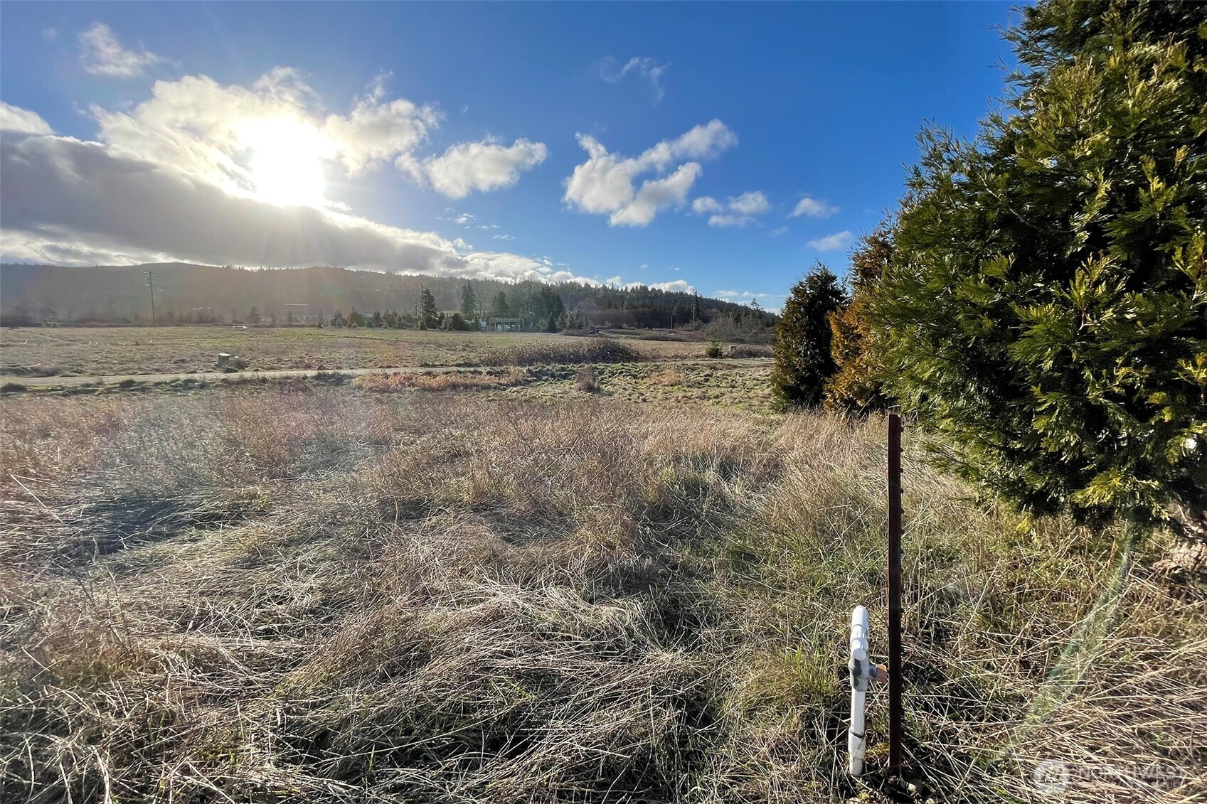 336 Bell Bottom Road Property Photo 11