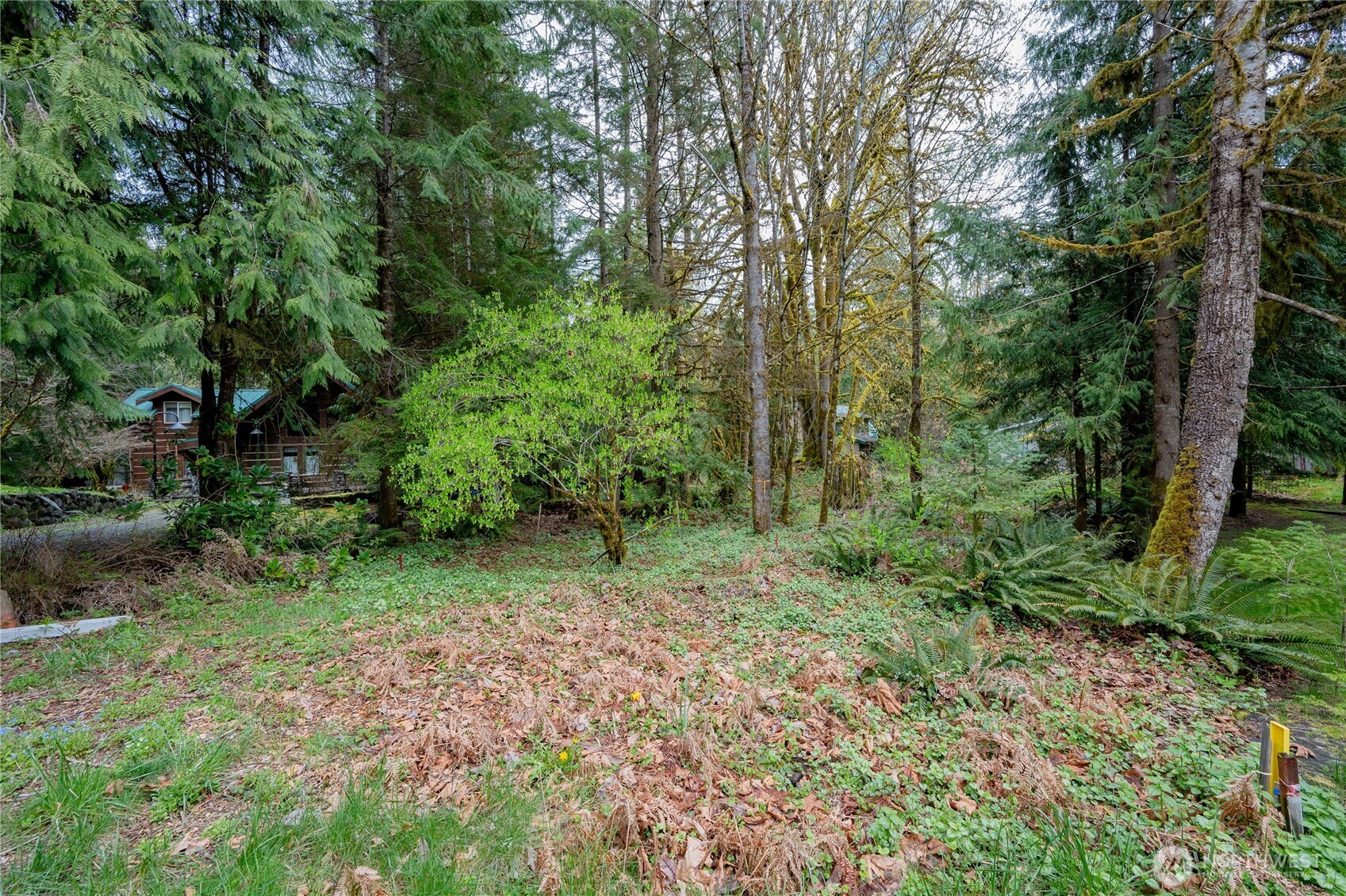 14039 Chimney Lane Property Photo 1