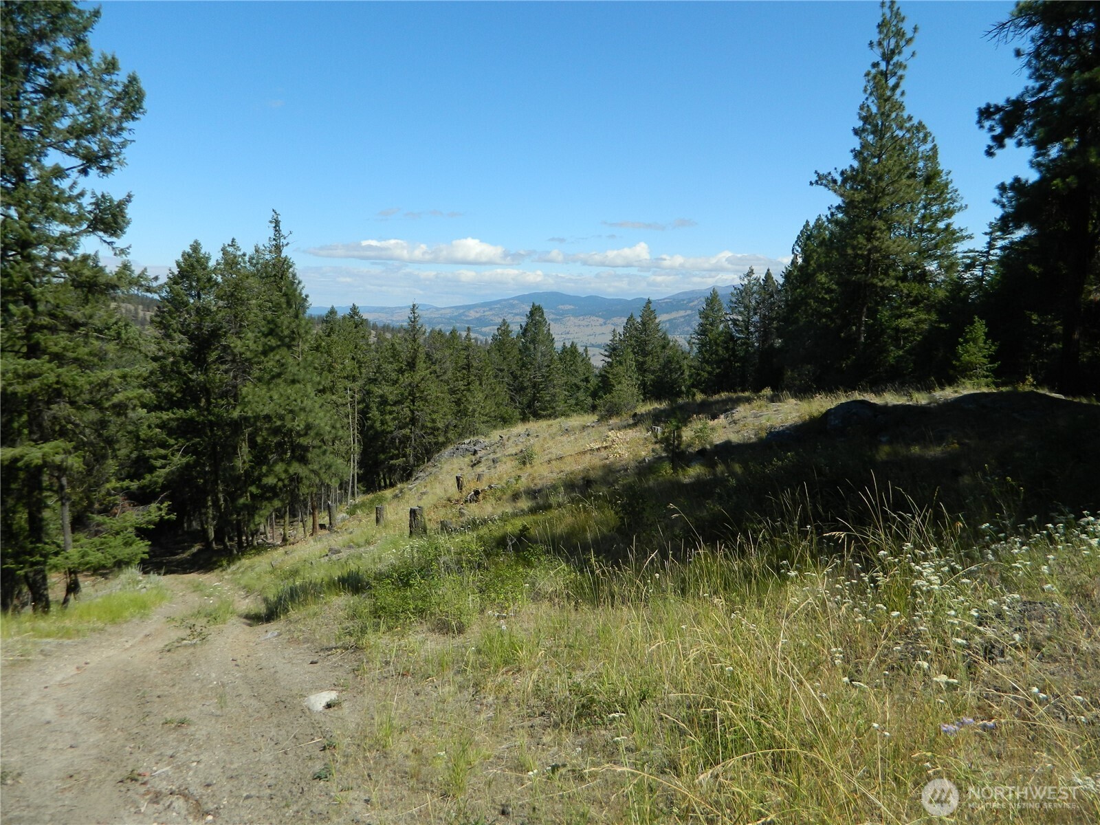 0 Tbd Snowbunny Ridge Drive Property Photo 1