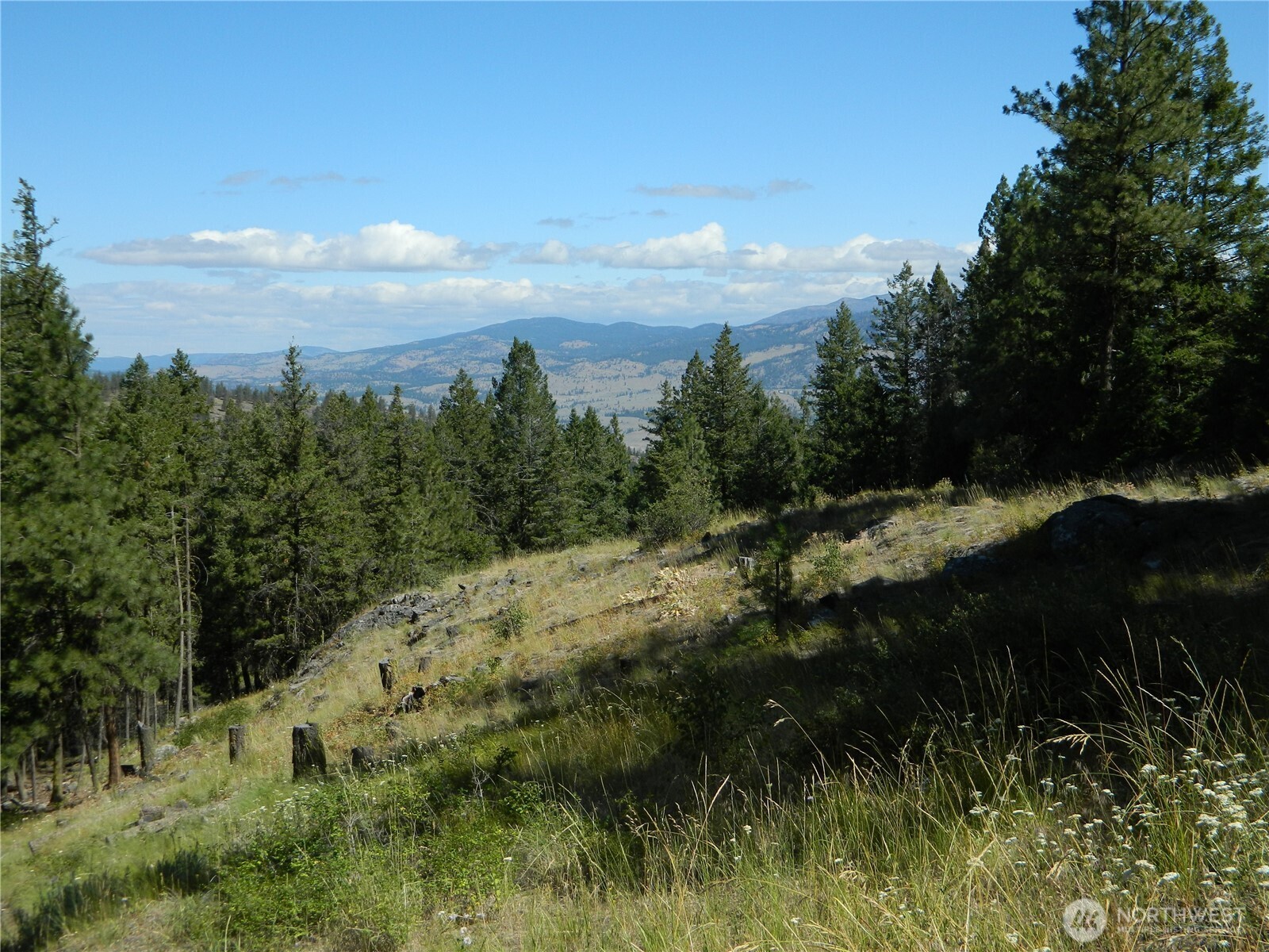 0 Tbd Snowbunny Ridge Drive Property Photo 2