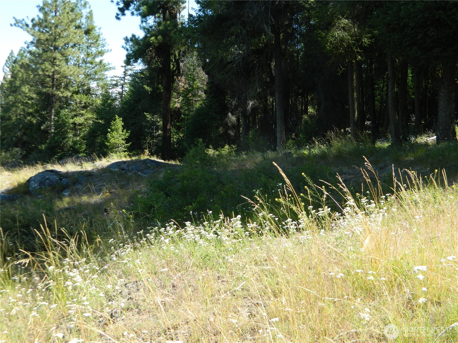 0 Tbd Snowbunny Ridge Drive Property Photo 3