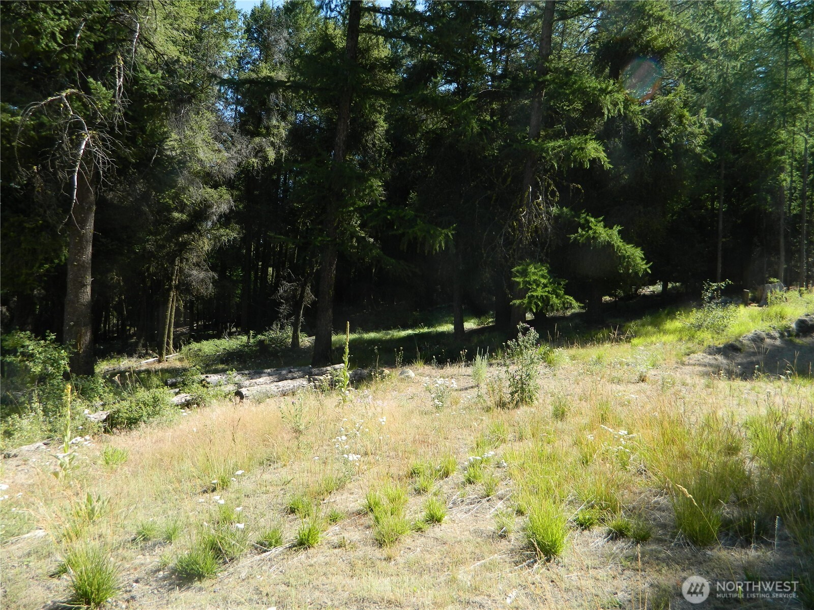 0 Tbd Snowbunny Ridge Drive Property Photo 5