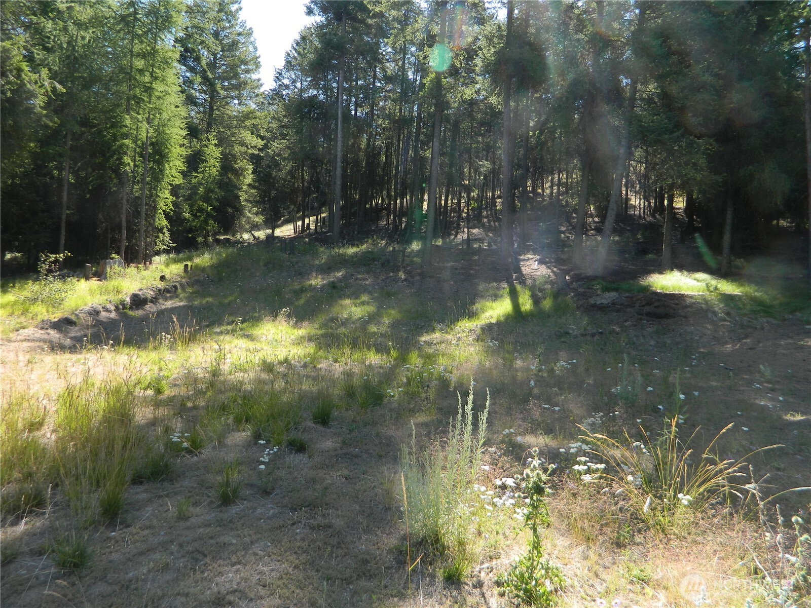 0 Tbd Snowbunny Ridge Drive Property Photo 6