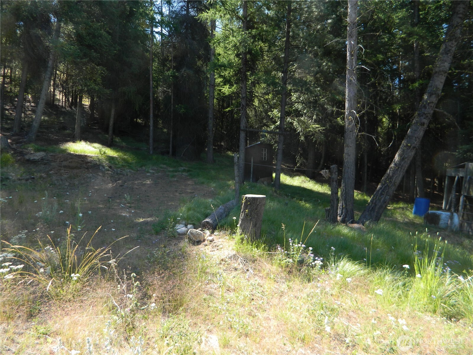 0 Tbd Snowbunny Ridge Drive Property Photo 7