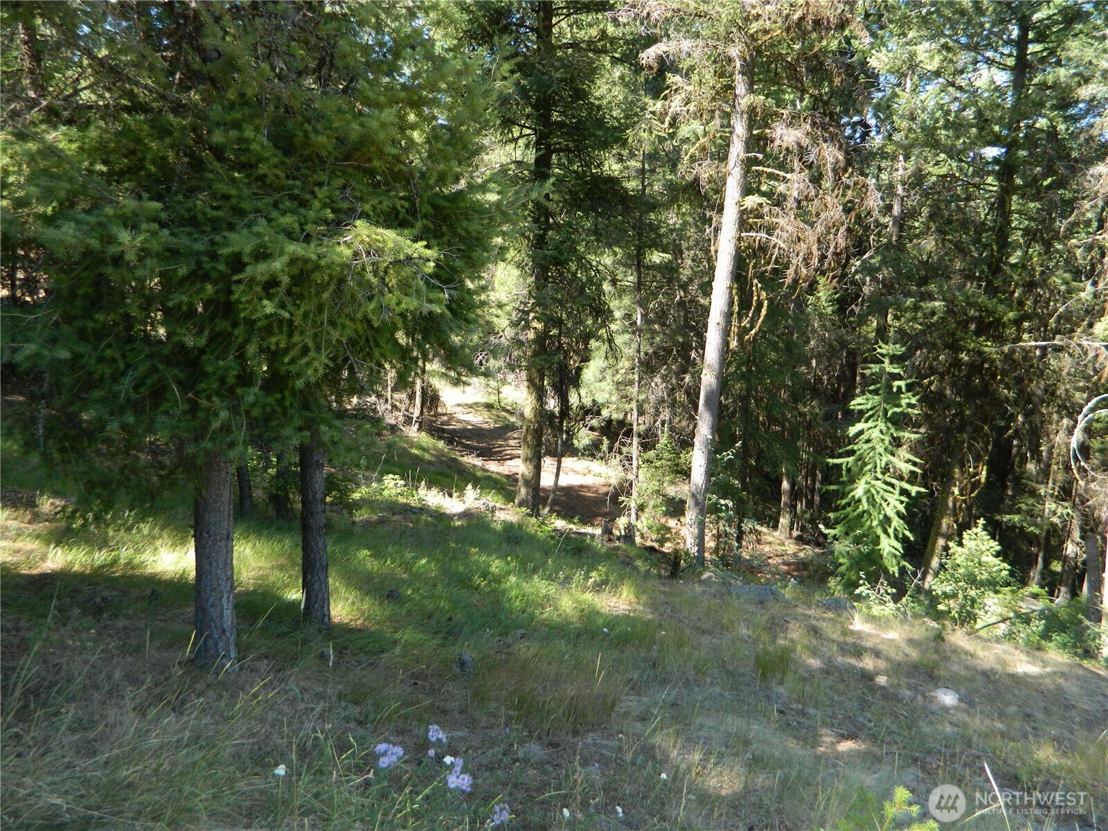 0 Tbd Snowbunny Ridge Drive Property Photo 8