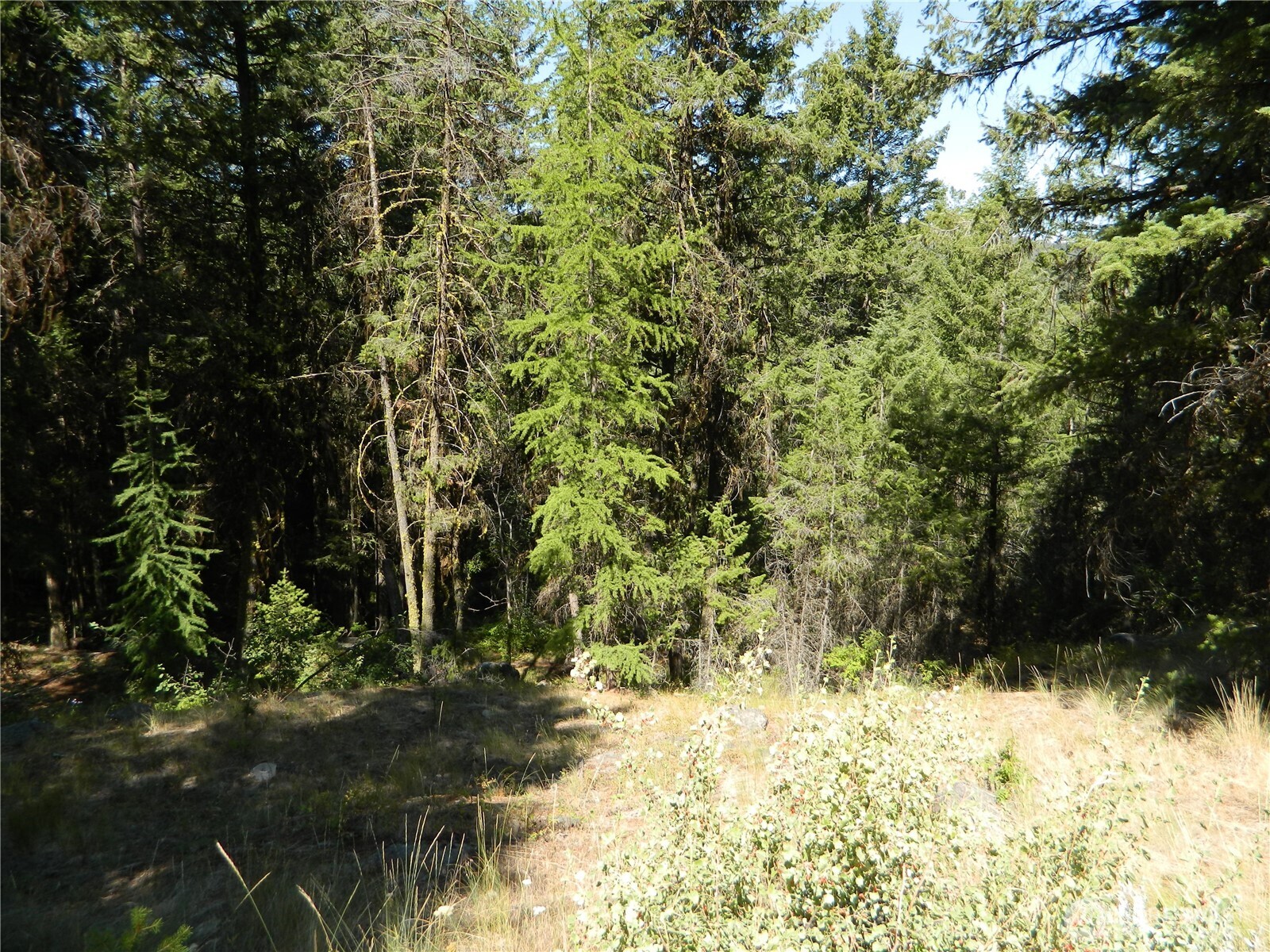 0 Tbd Snowbunny Ridge Drive Property Photo 9