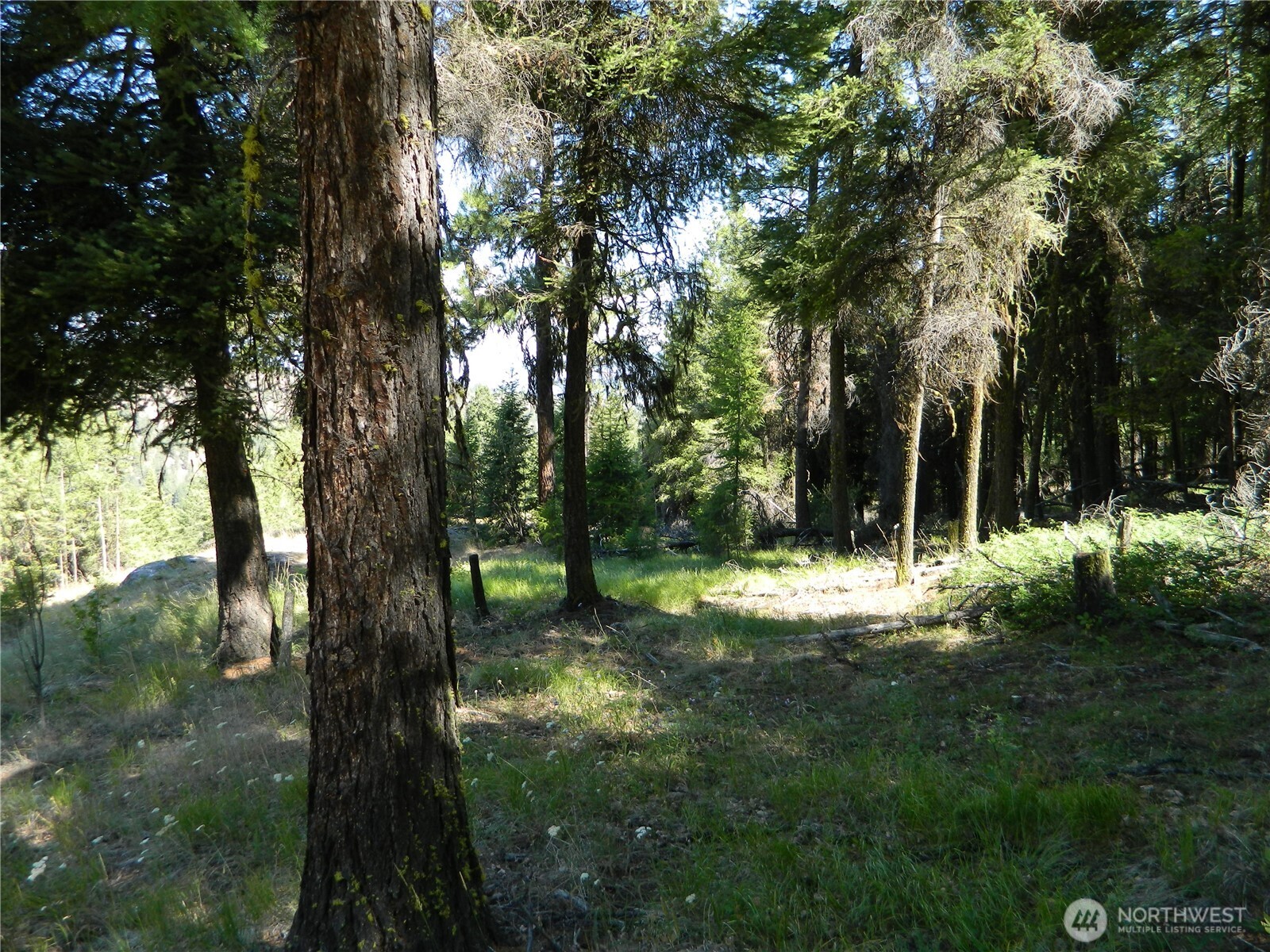 0 Tbd Snowbunny Ridge Drive Property Photo 14