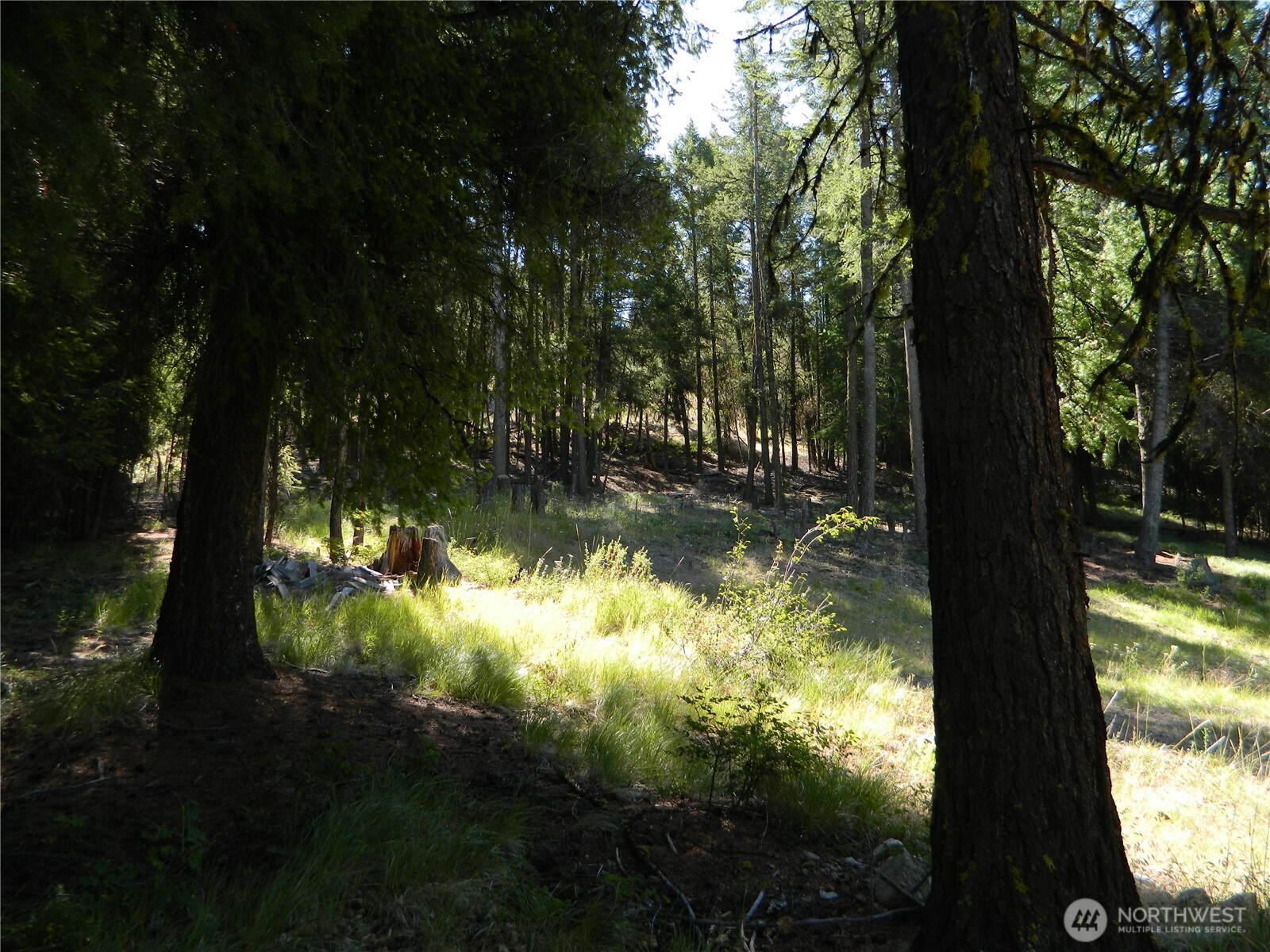 0 Tbd Snowbunny Ridge Drive Property Photo 15