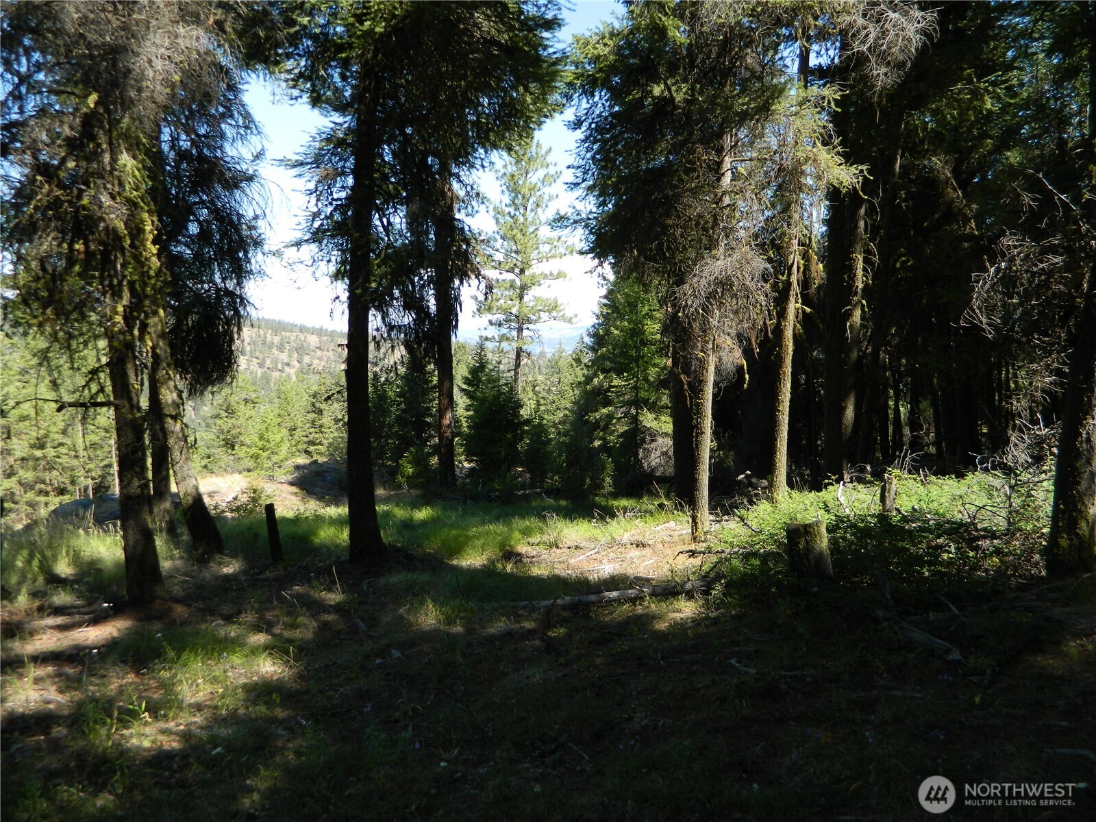 0 Tbd Snowbunny Ridge Drive Property Photo 17