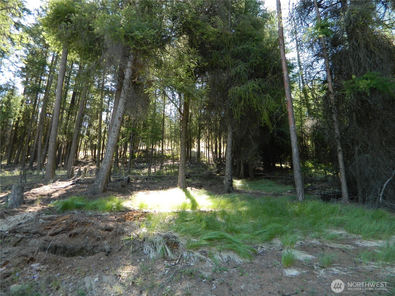 0 Tbd Snowbunny Ridge Drive Property Photo 19