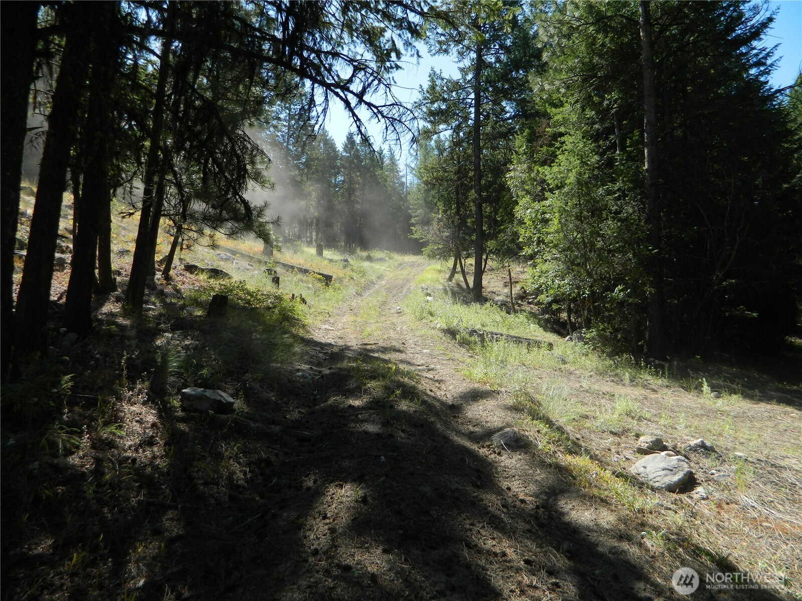 0 Tbd Snowbunny Ridge Drive Property Photo 20