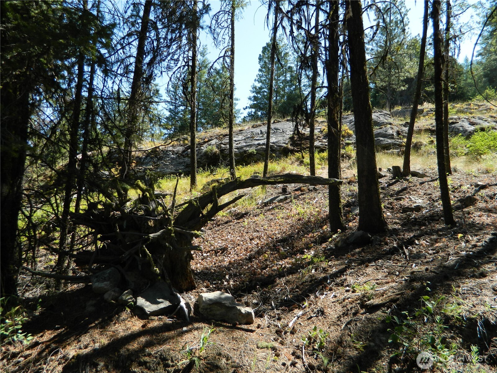 0 Tbd Snowbunny Ridge Drive Property Photo 21