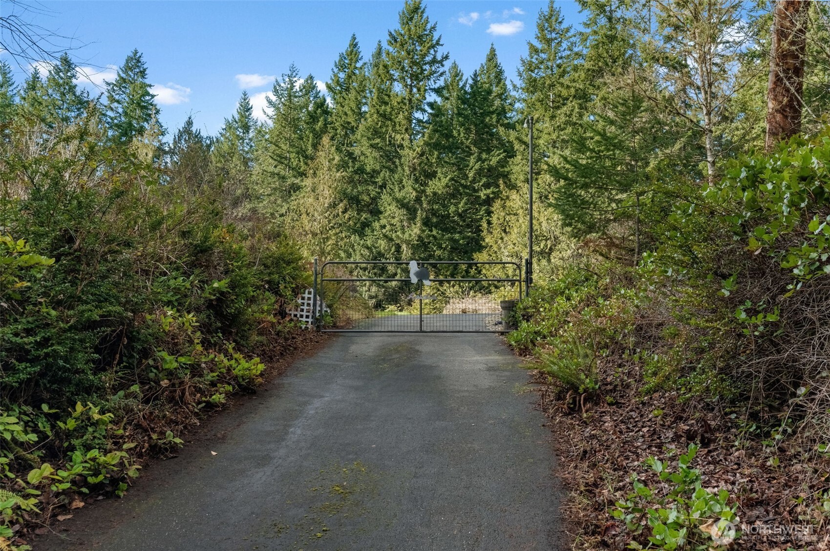 8115 Berry Ridge Lane Property Photo 6
