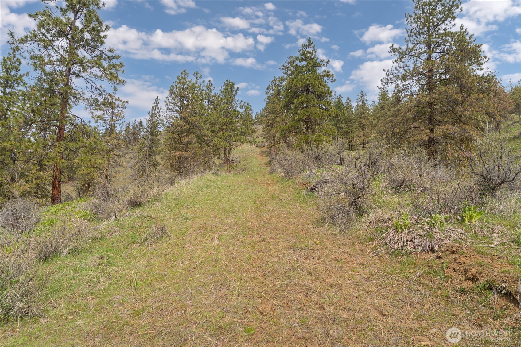4681 Brisky Canyon Road Property Photo 6