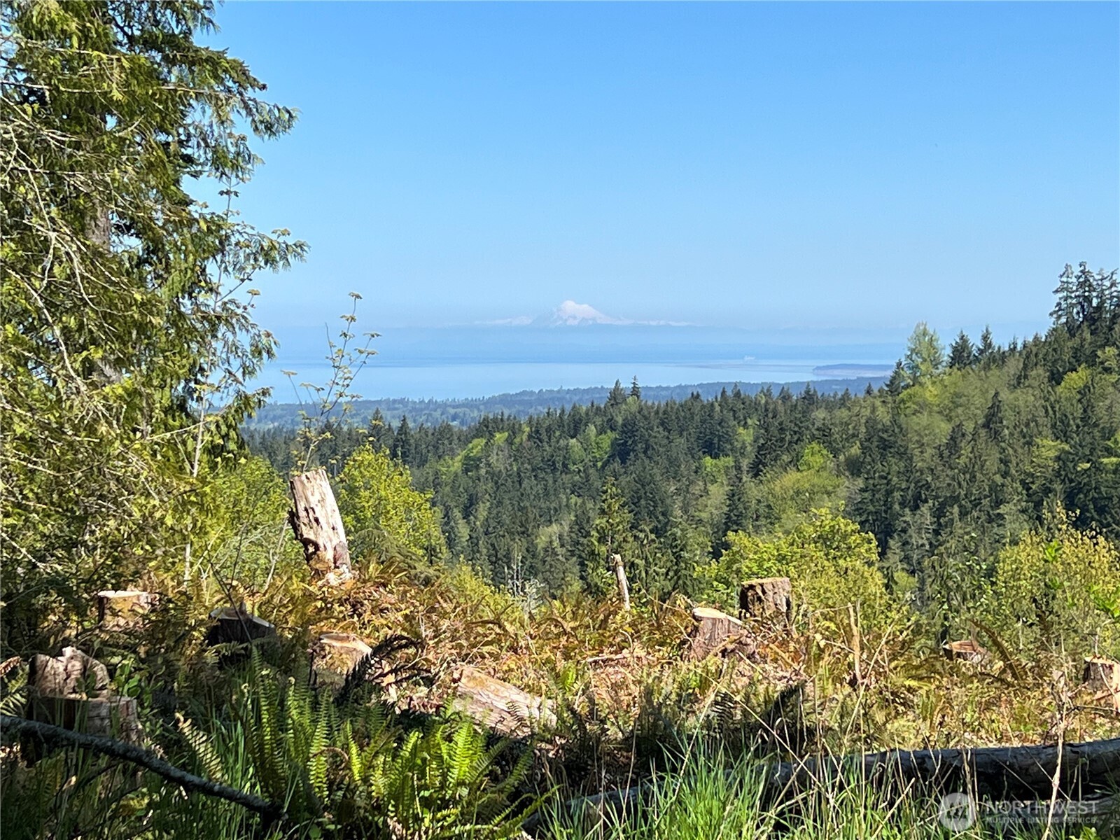 9999 E Half Mile Rd., Lot B Property Photo 1