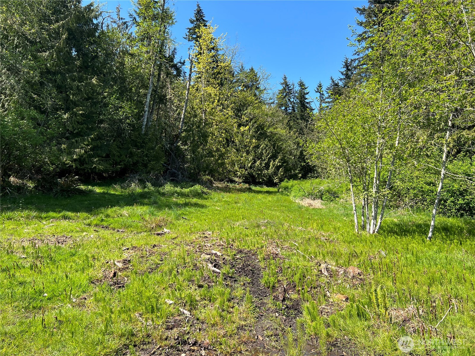 9999 E Half Mile Rd., Lot C Property Photo 3