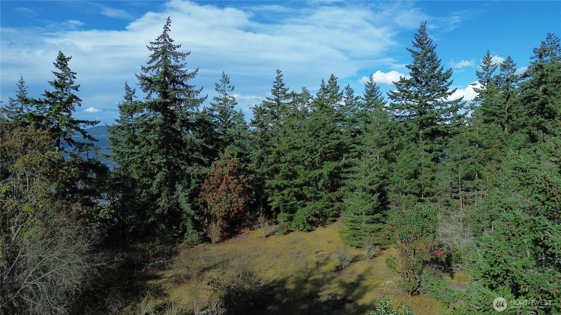7701 Nhn State Route 20 Property Photo 1