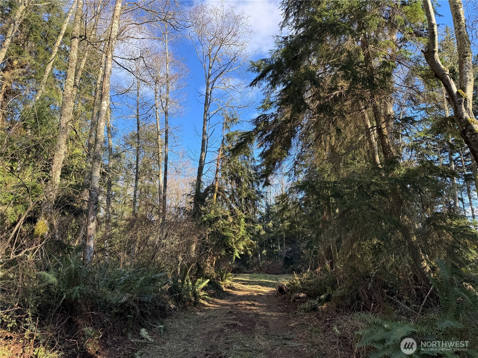 28062 State Route 525 Property Photo 4