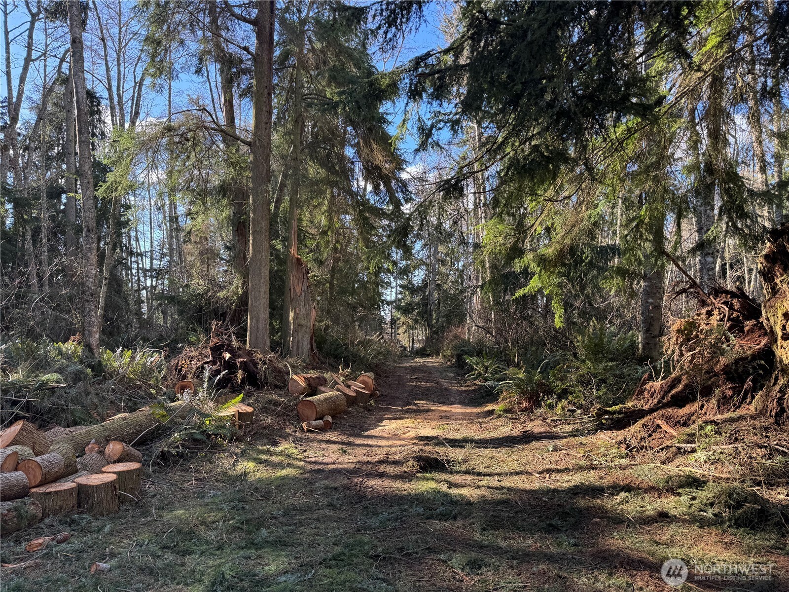 28062 State Route 525 Property Photo 5
