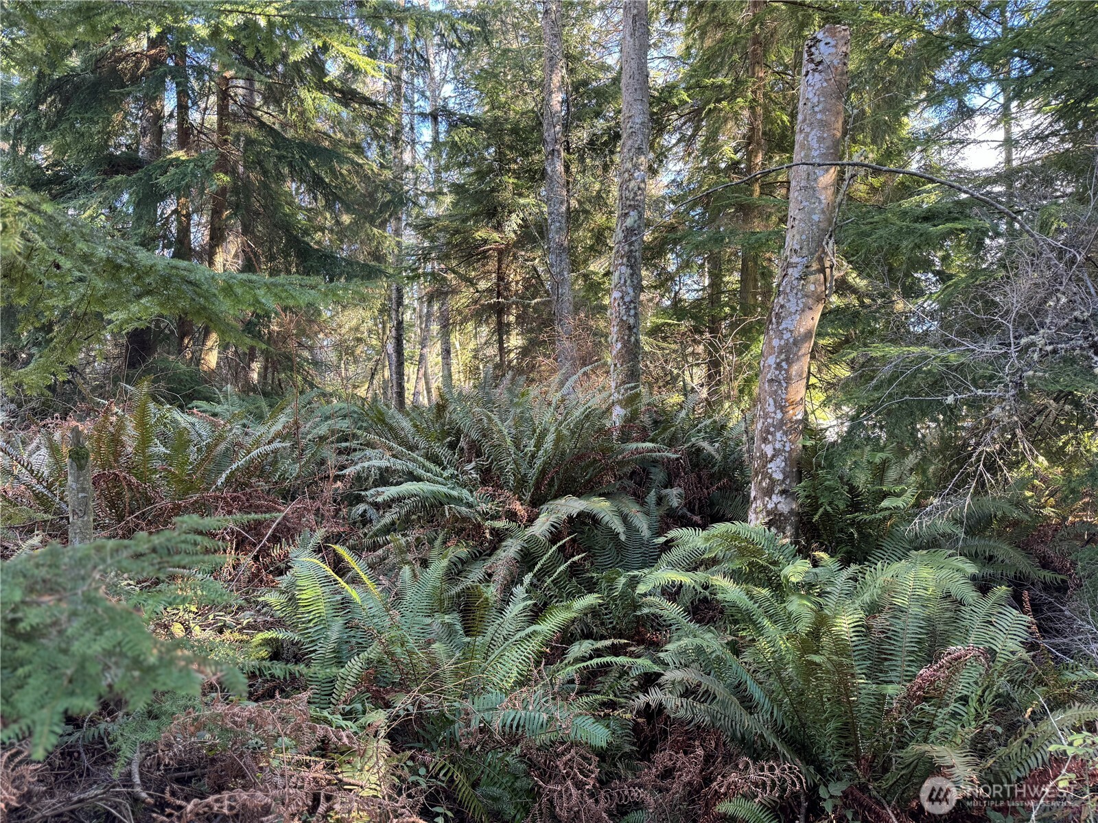 28062 State Route 525 Property Photo 12