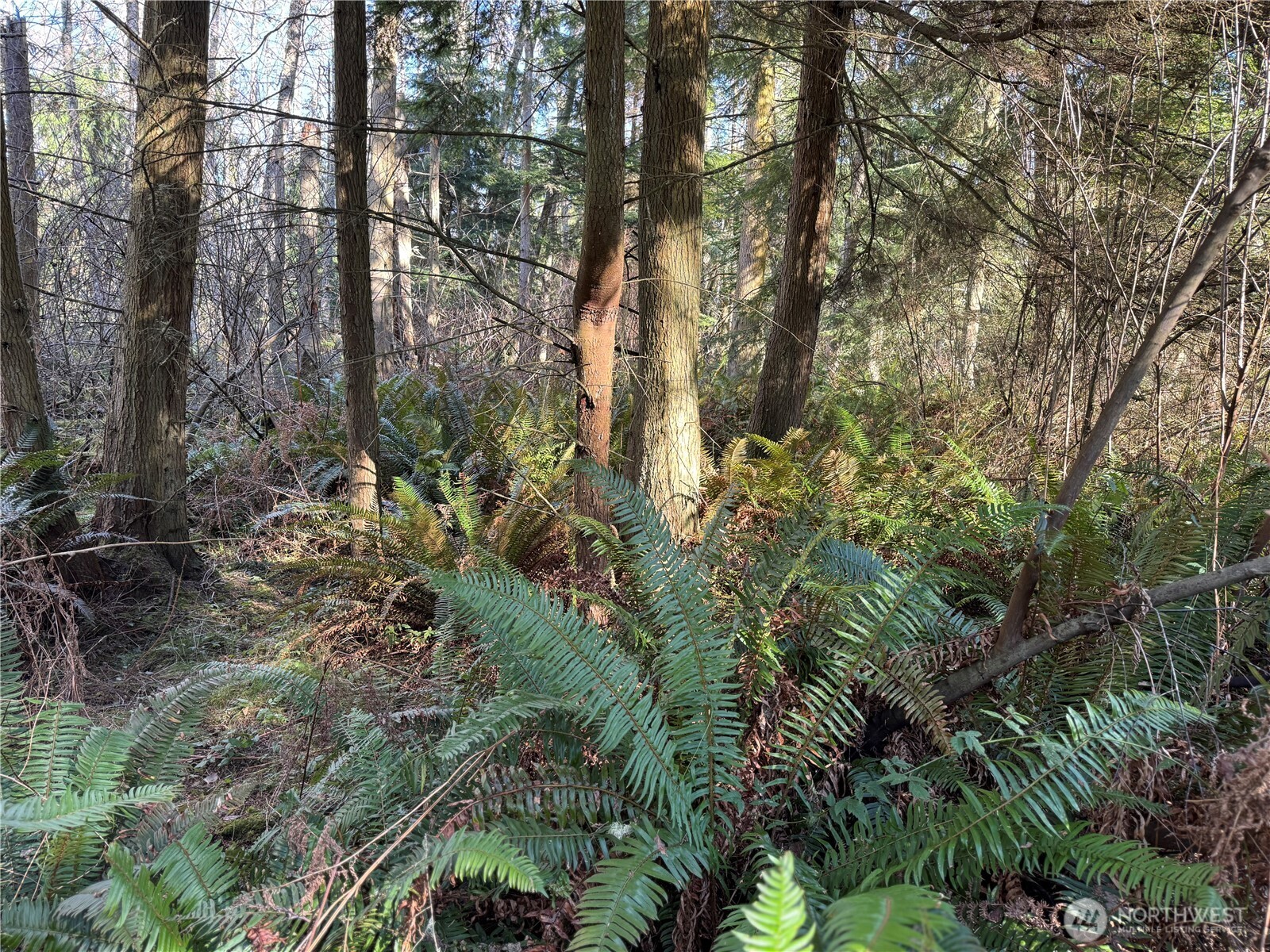 28062 State Route 525 Property Photo 14