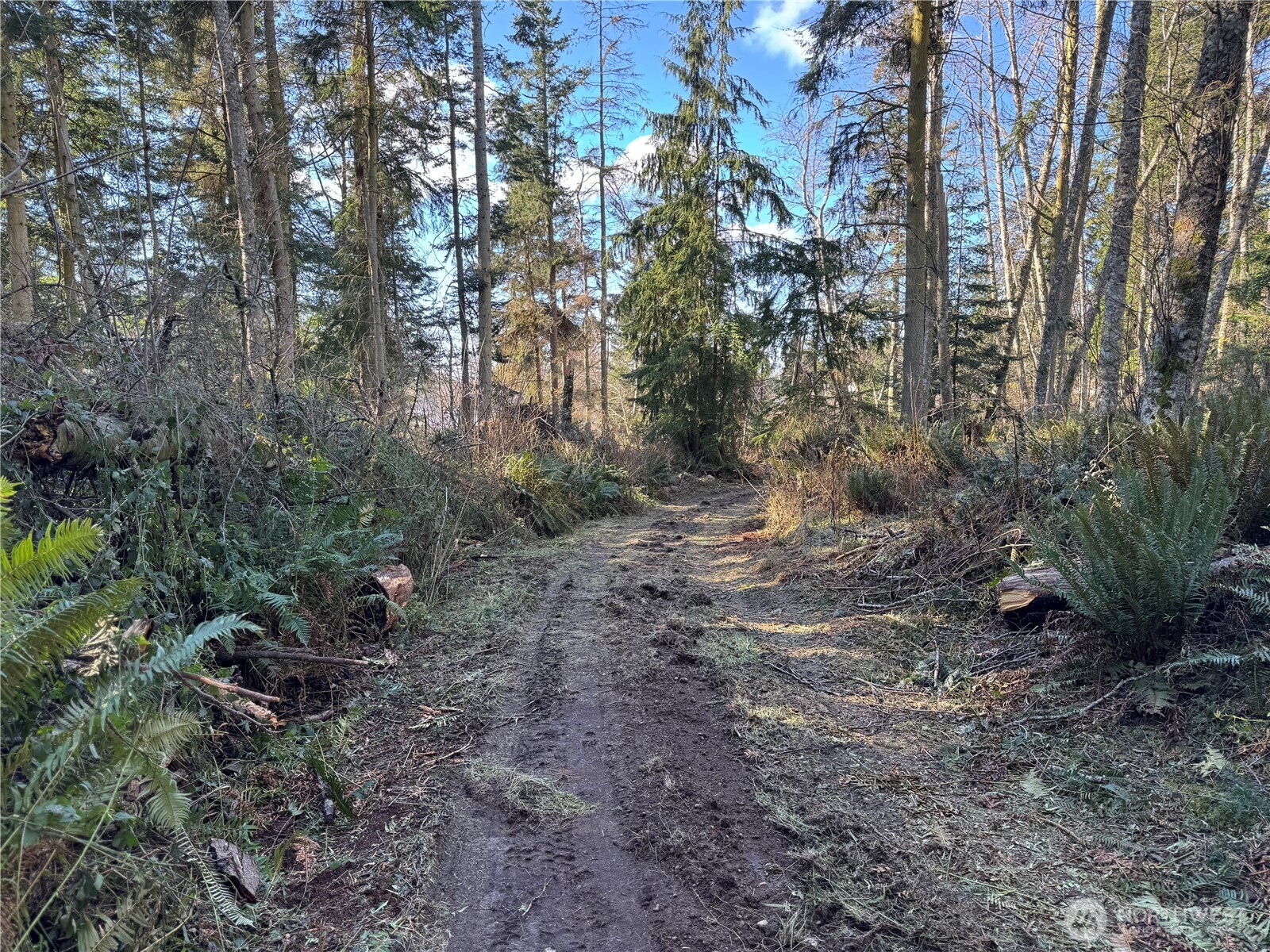 28062 State Route 525 Property Photo 15