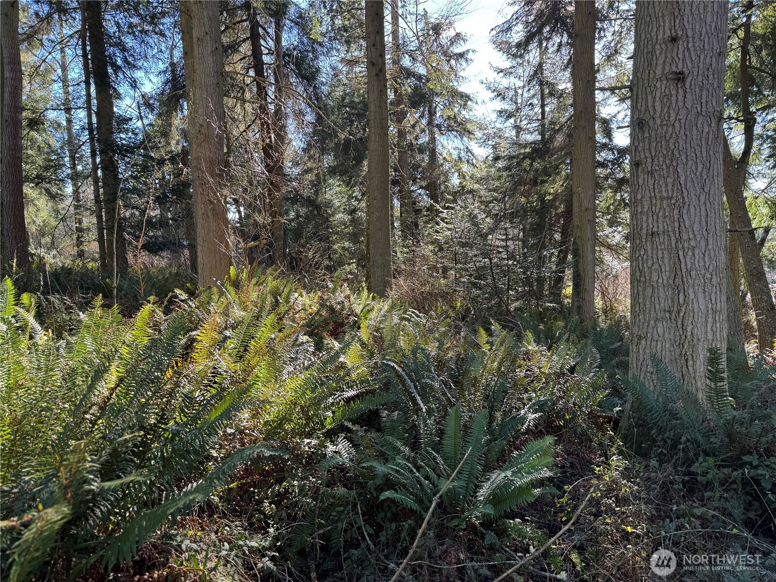 28062 State Route 525 Property Photo 17
