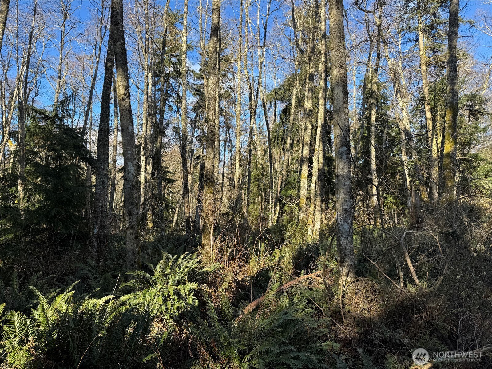 28062 State Route 525 Property Photo 20