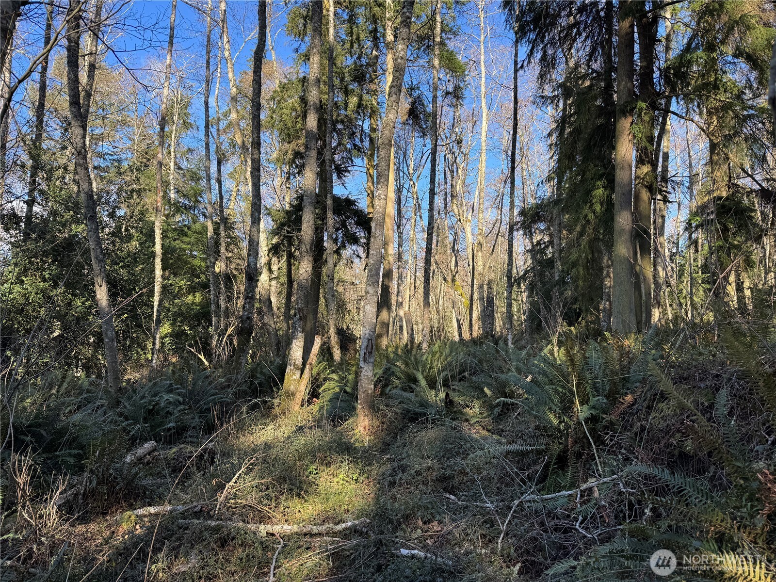 28062 State Route 525 Property Photo 21