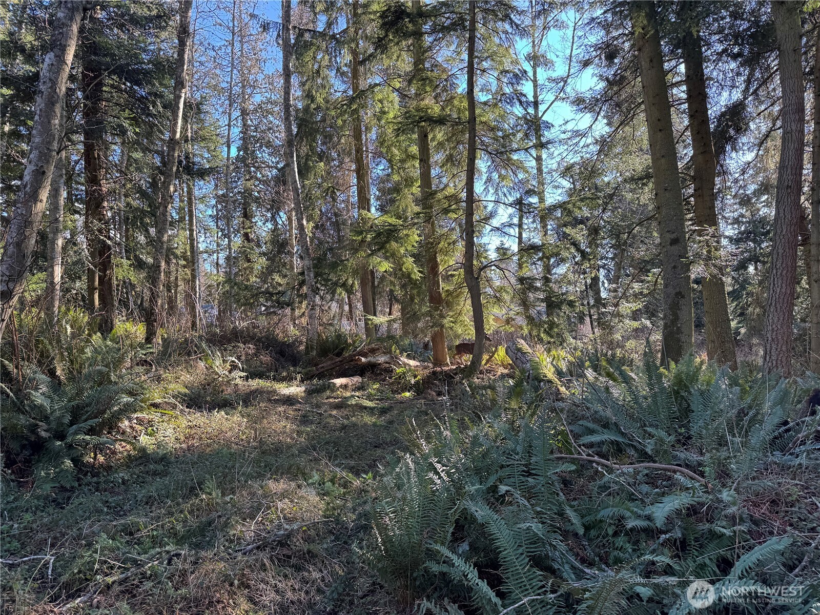 28062 State Route 525 Property Photo 23