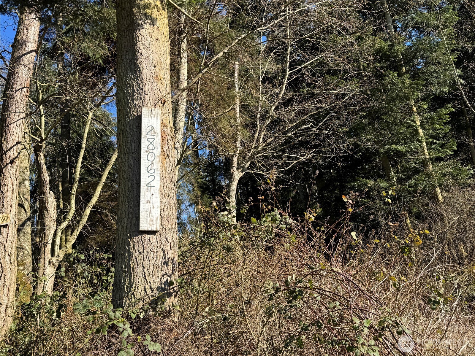 28062 State Route 525 Property Photo 24