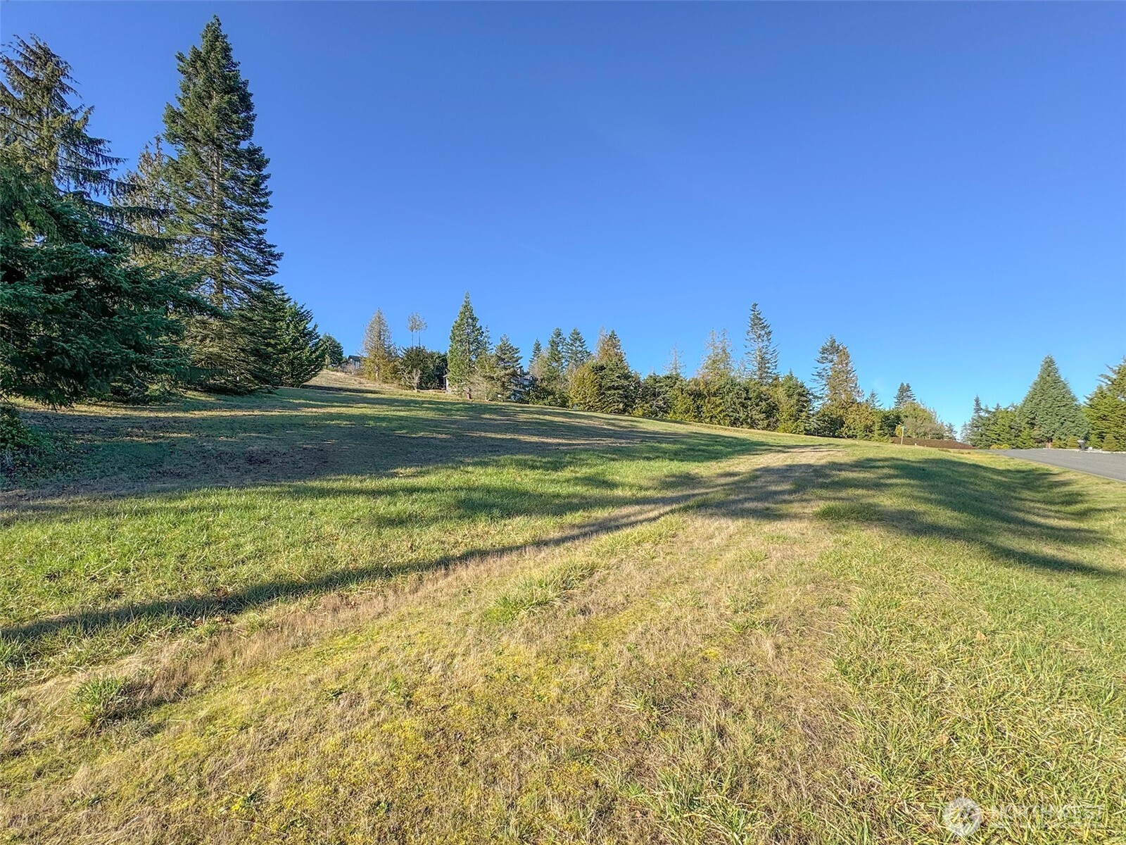9999 Doe Run Road Property Photo 7