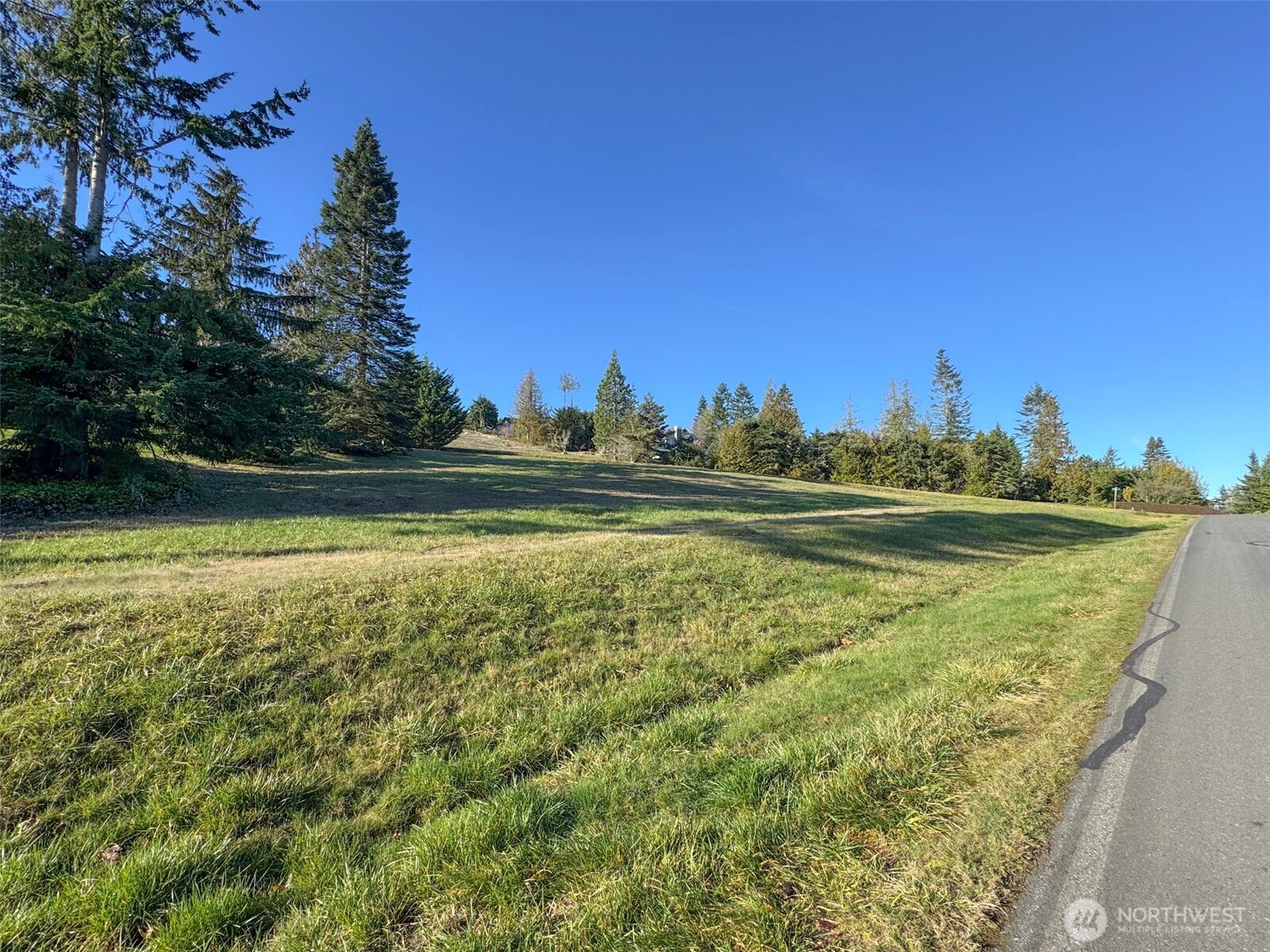9999 Doe Run Road Property Photo 19