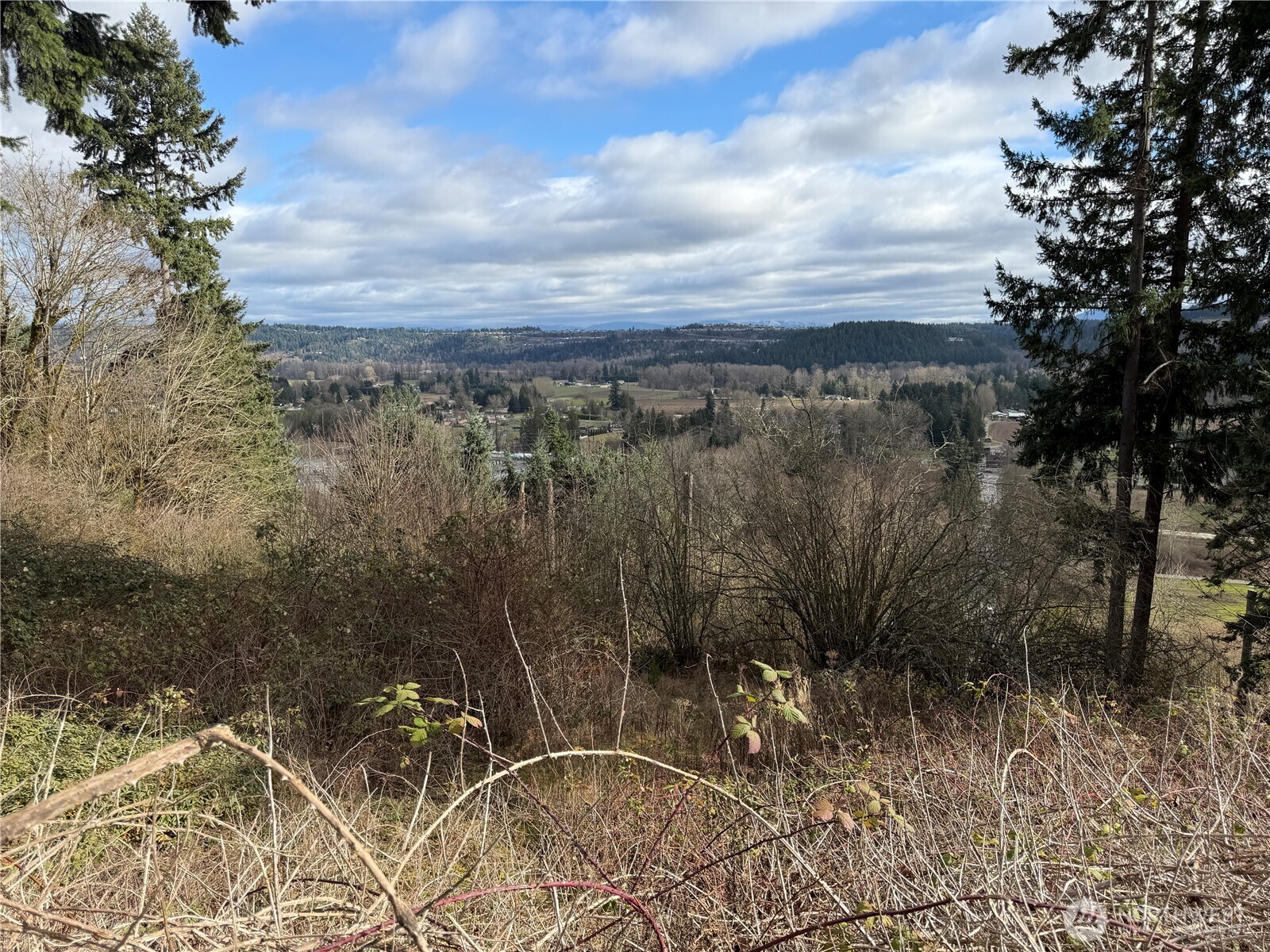 11603 Jennifer Court Property Photo 1