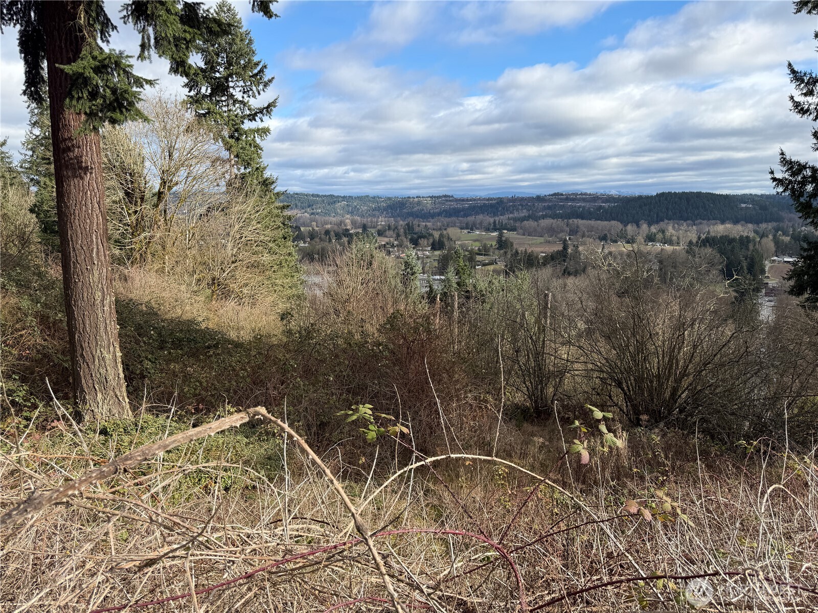 11603 Jennifer Court Property Photo 2