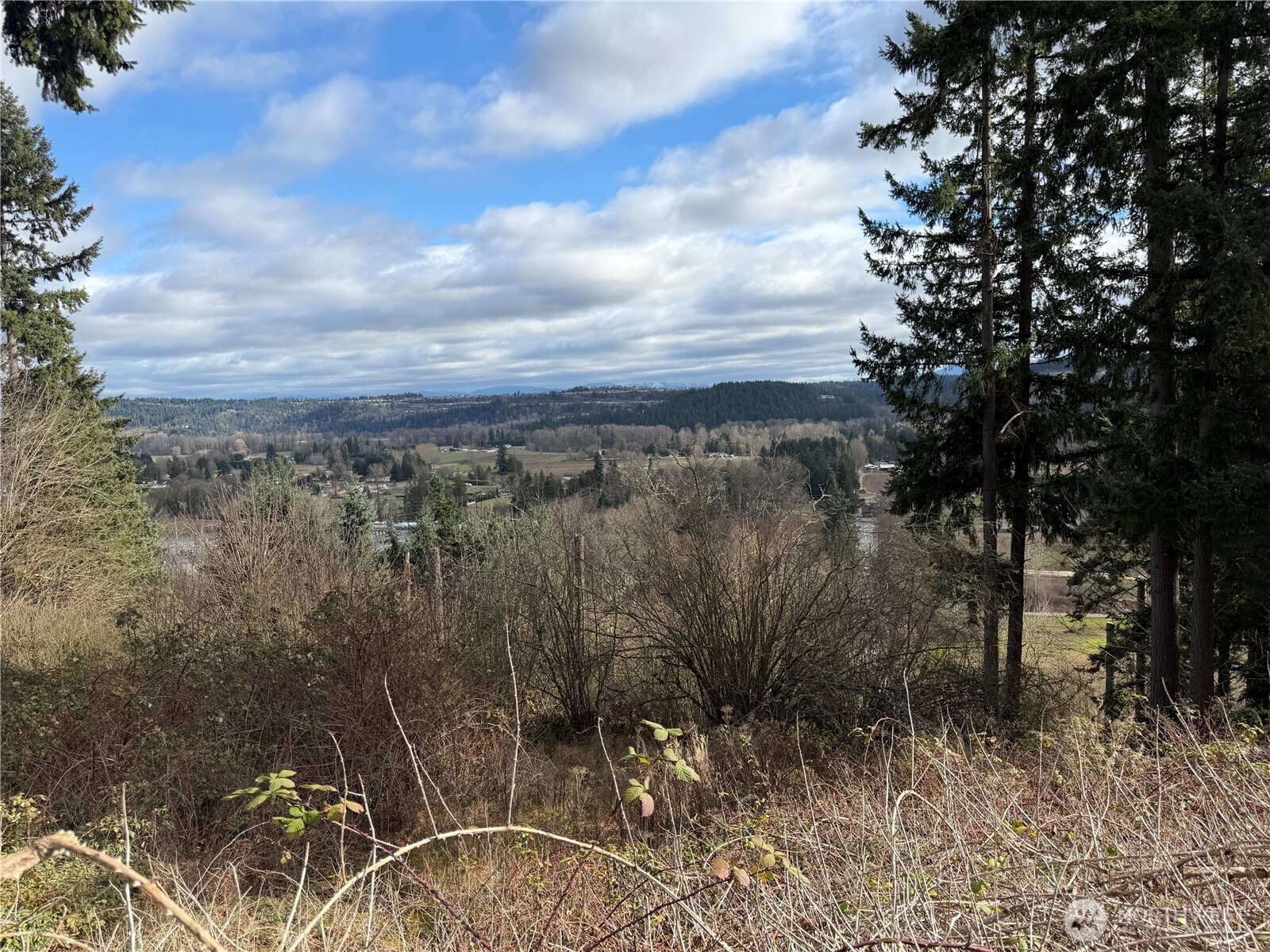 11603 Jennifer Court Property Photo 3