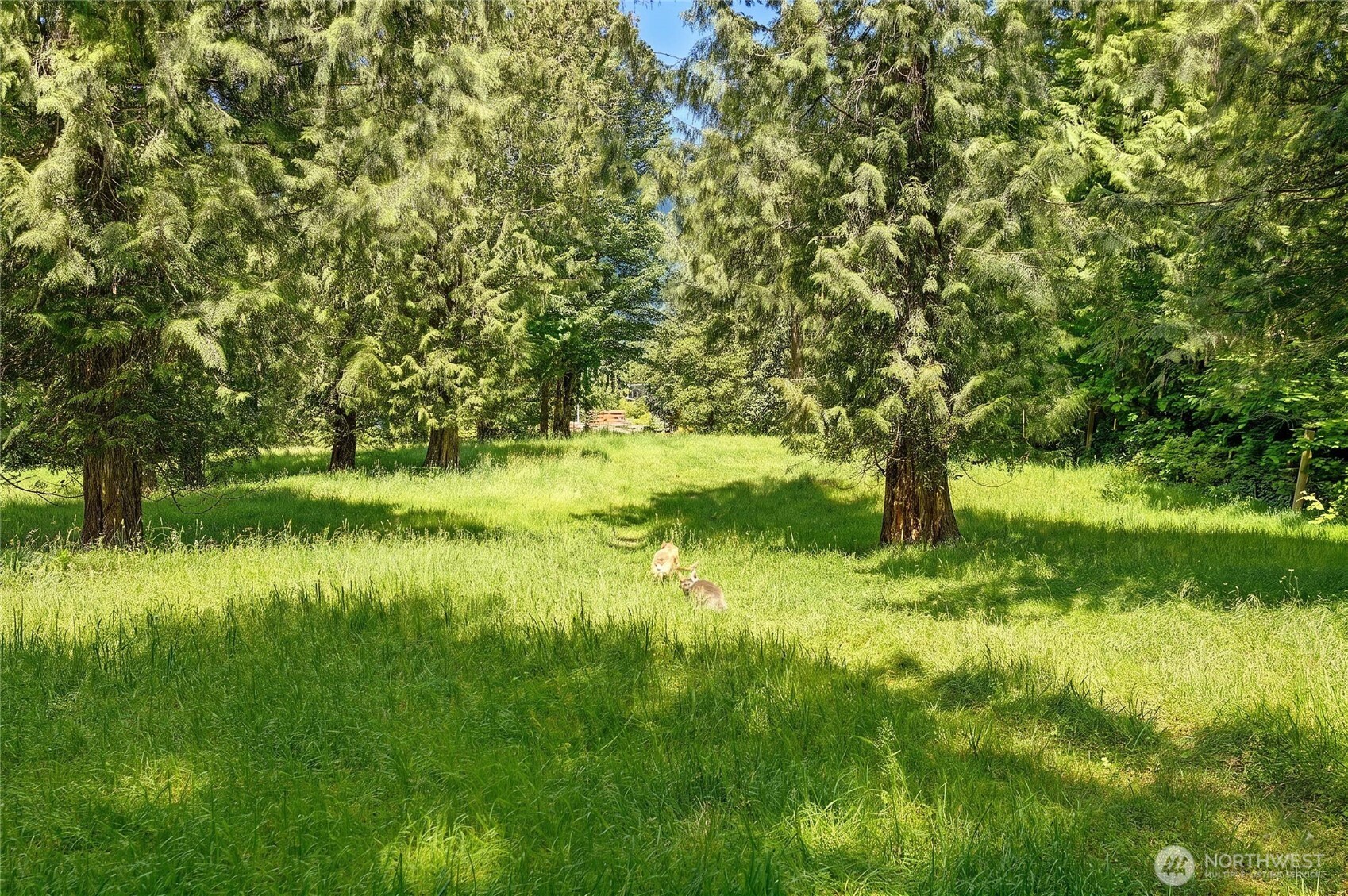 39729 State Route 530 Property Photo 37