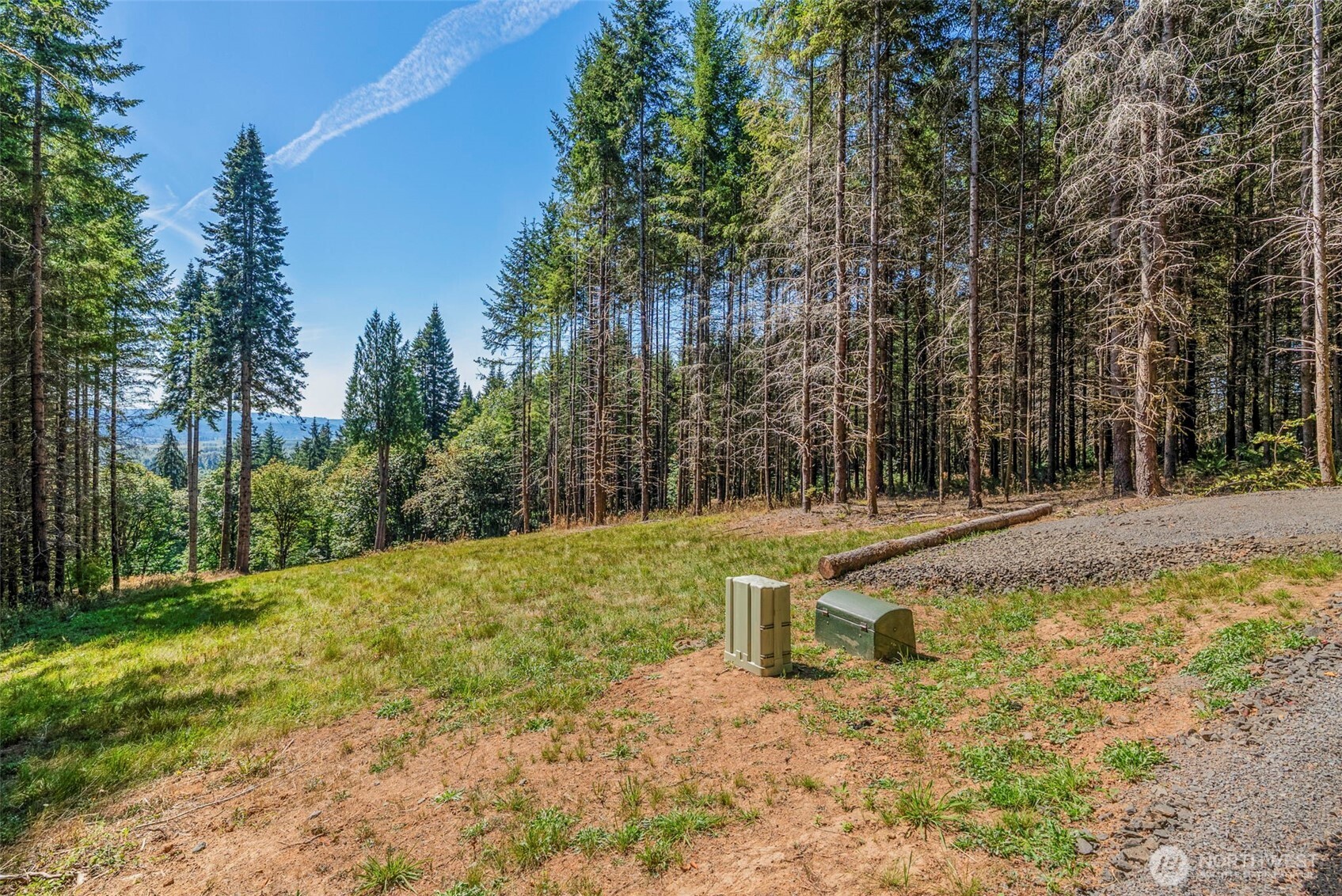 0 Old Tree Farm Drive 2 Property Photo 3
