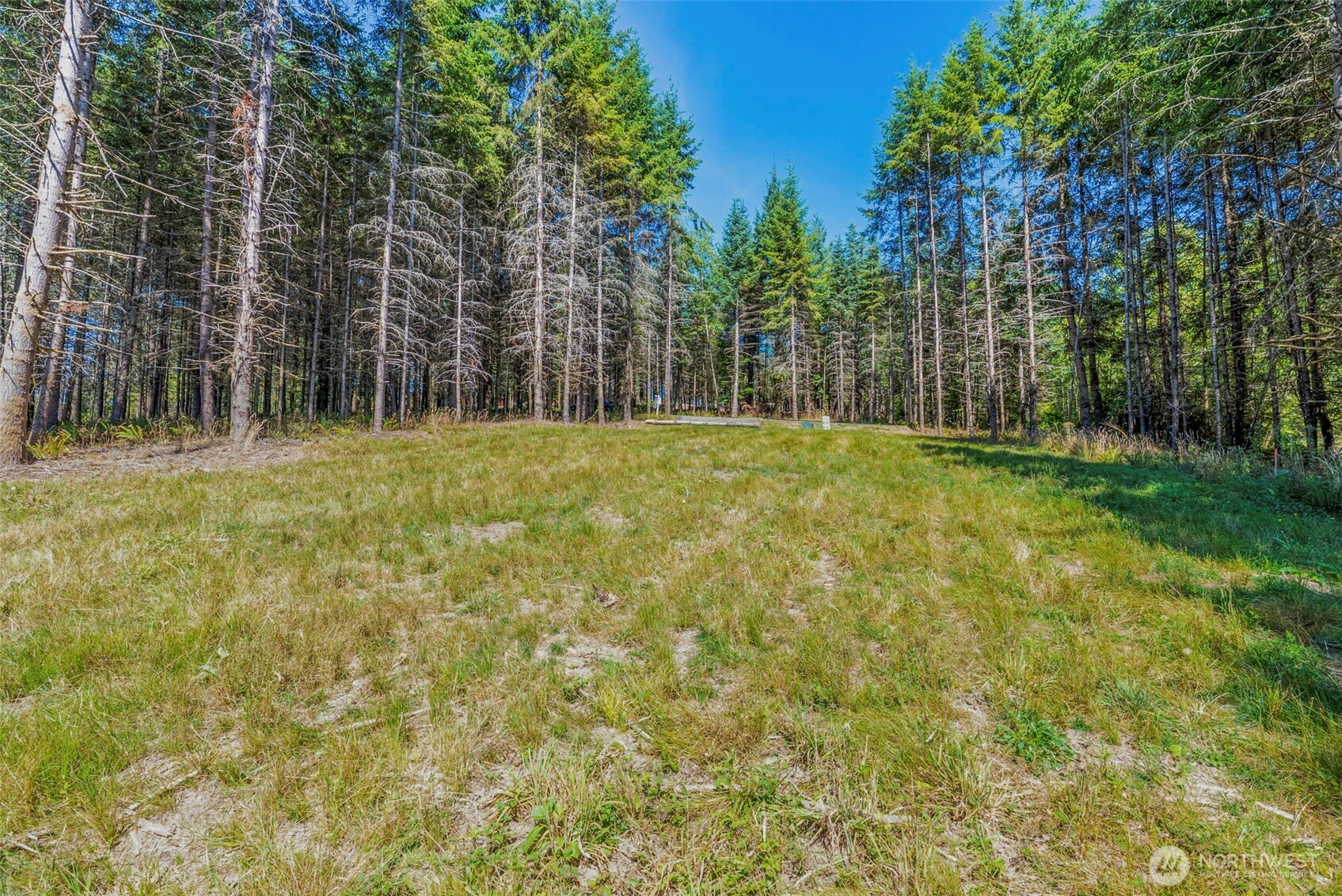 0 Old Tree Farm Drive 2 Property Photo 4