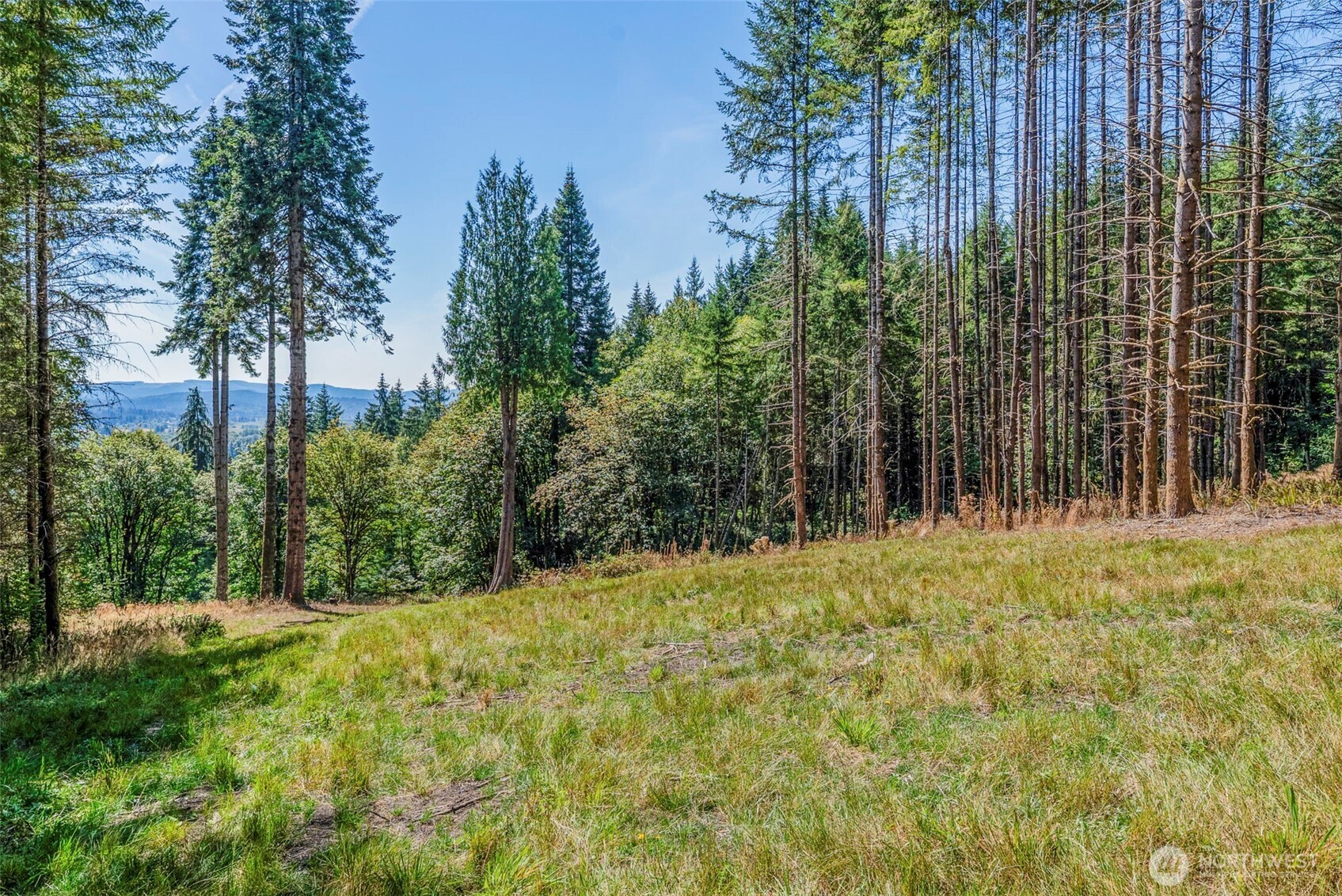 0 Old Tree Farm Drive 2 Property Photo 5