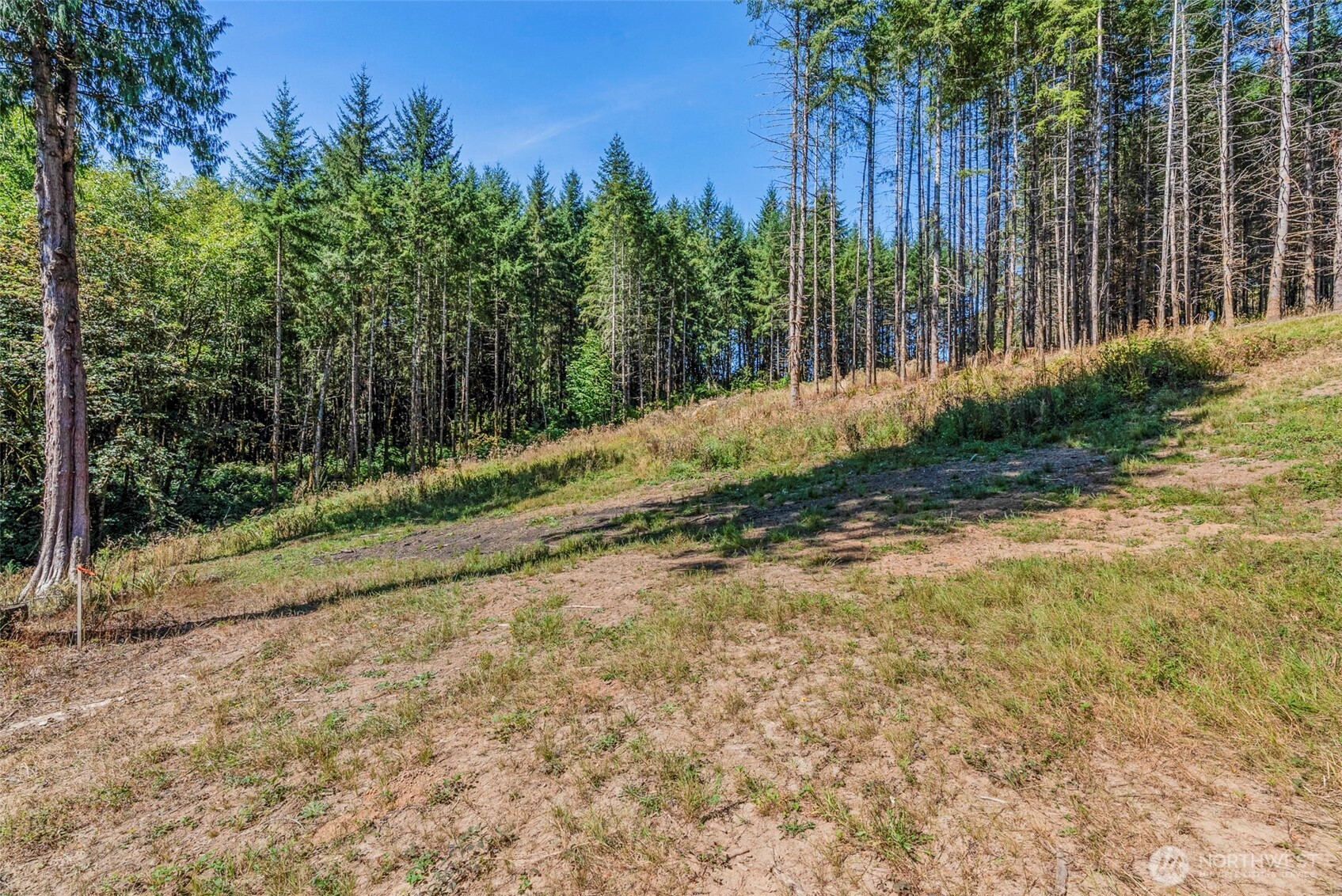 0 Old Tree Farm Drive 2 Property Photo 8