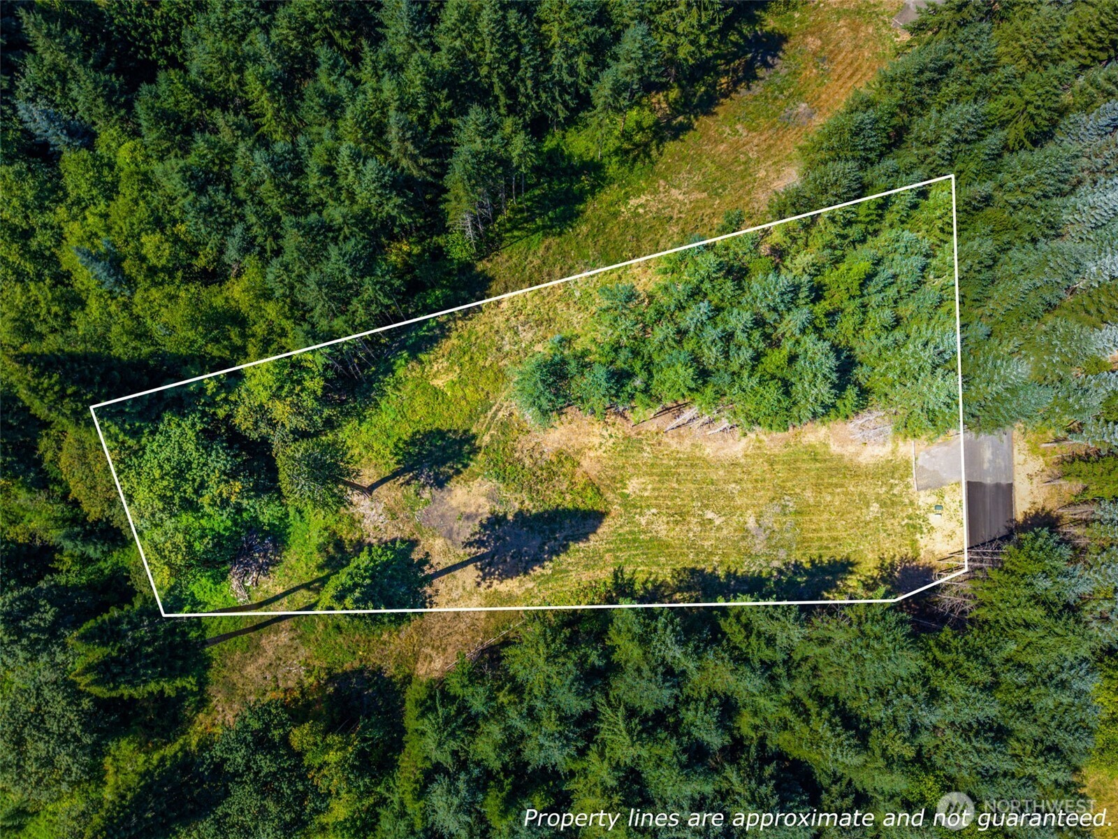 0 Old Tree Farm Drive 2 Property Photo 16