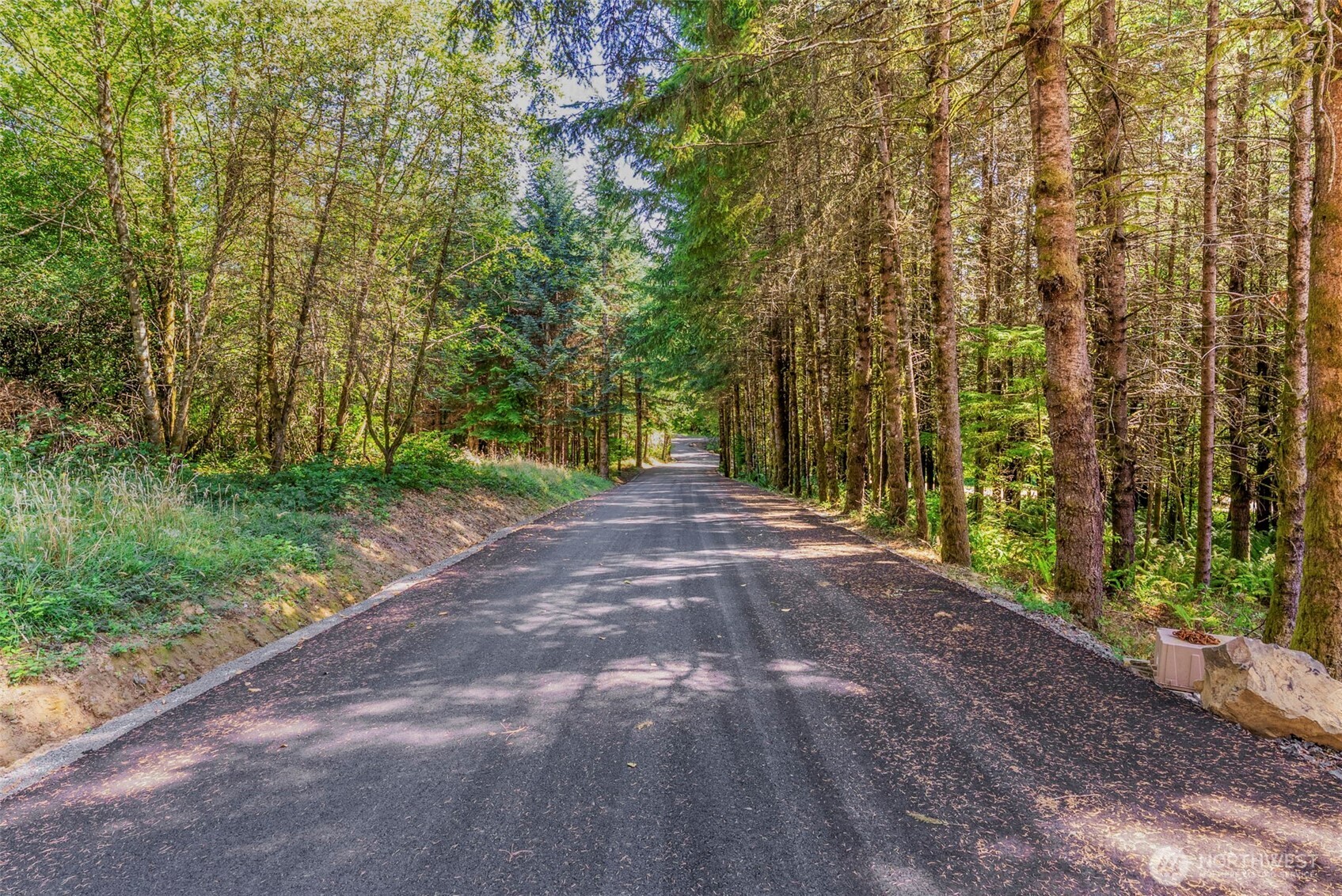 0 Old Tree Farm Drive 2 Property Photo 17