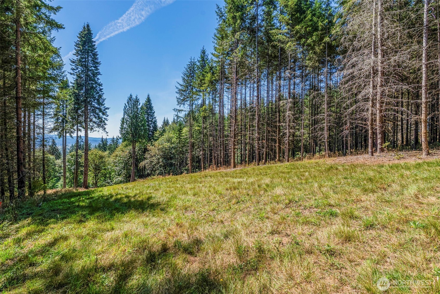 0 Old Tree Farm Drive 2 Property Photo 18
