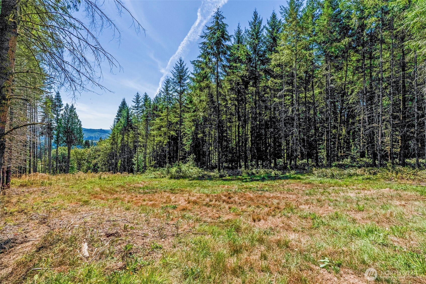 0 Old Tree Farm Drive 2 Property Photo 20