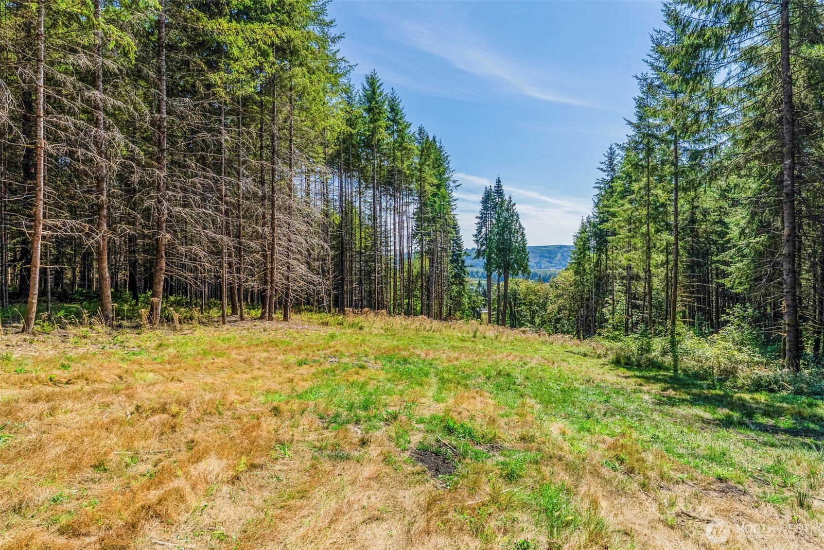 0 Old Tree Farm Drive 2 Property Photo 21