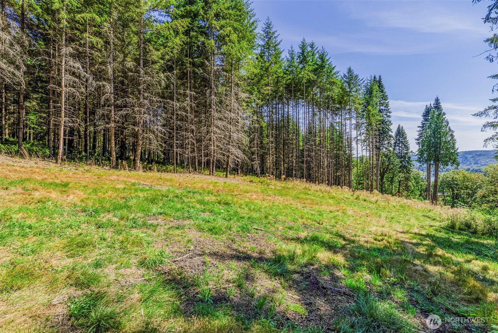 0 Old Tree Farm Drive 2 Property Photo 22